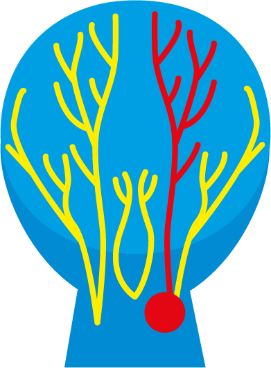 Simple diagram showing main sensory nerves on back of head and highlighting the greater occipital nerve