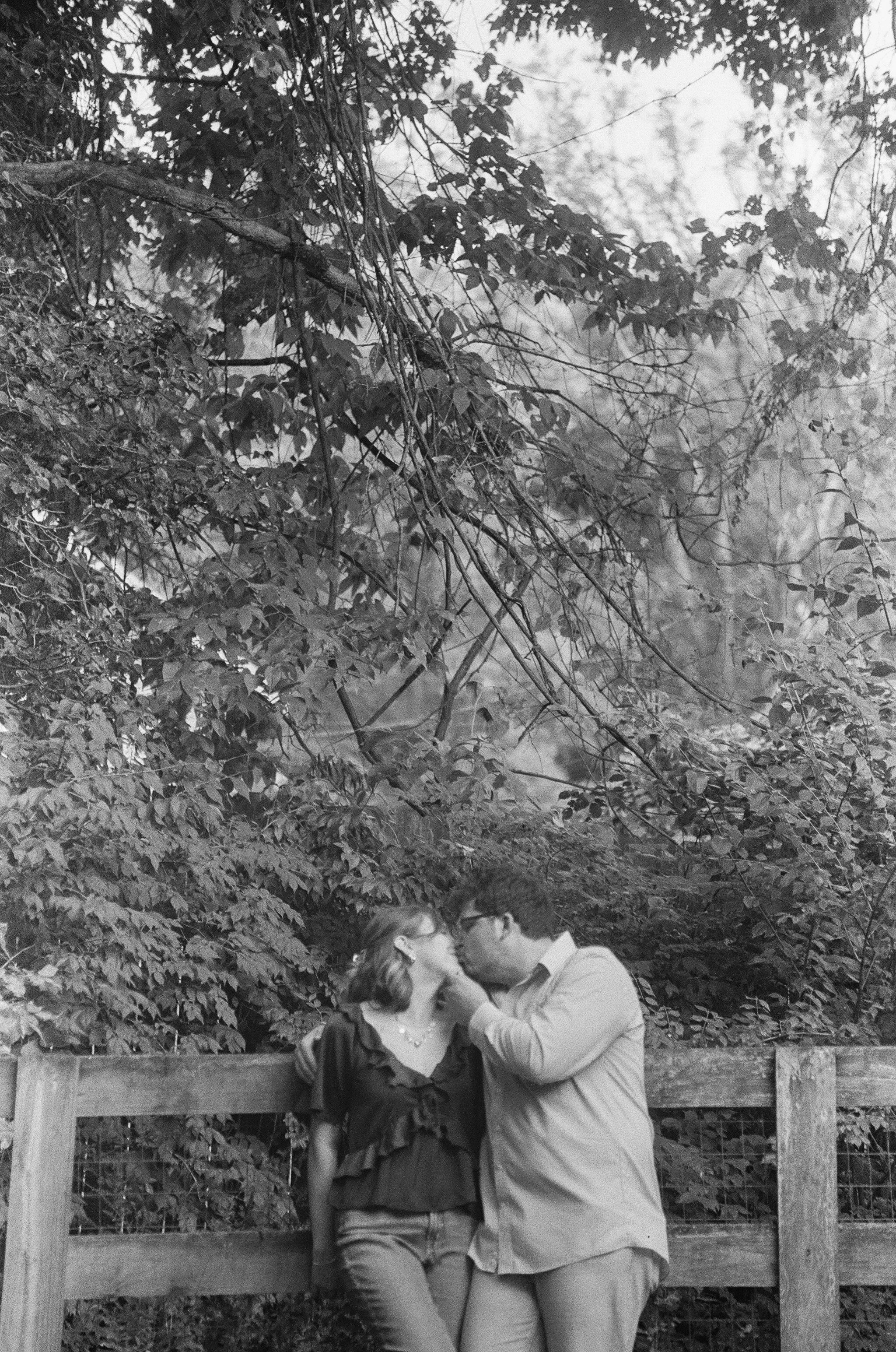 A couple kissing in a park with greenery and trees in the background.