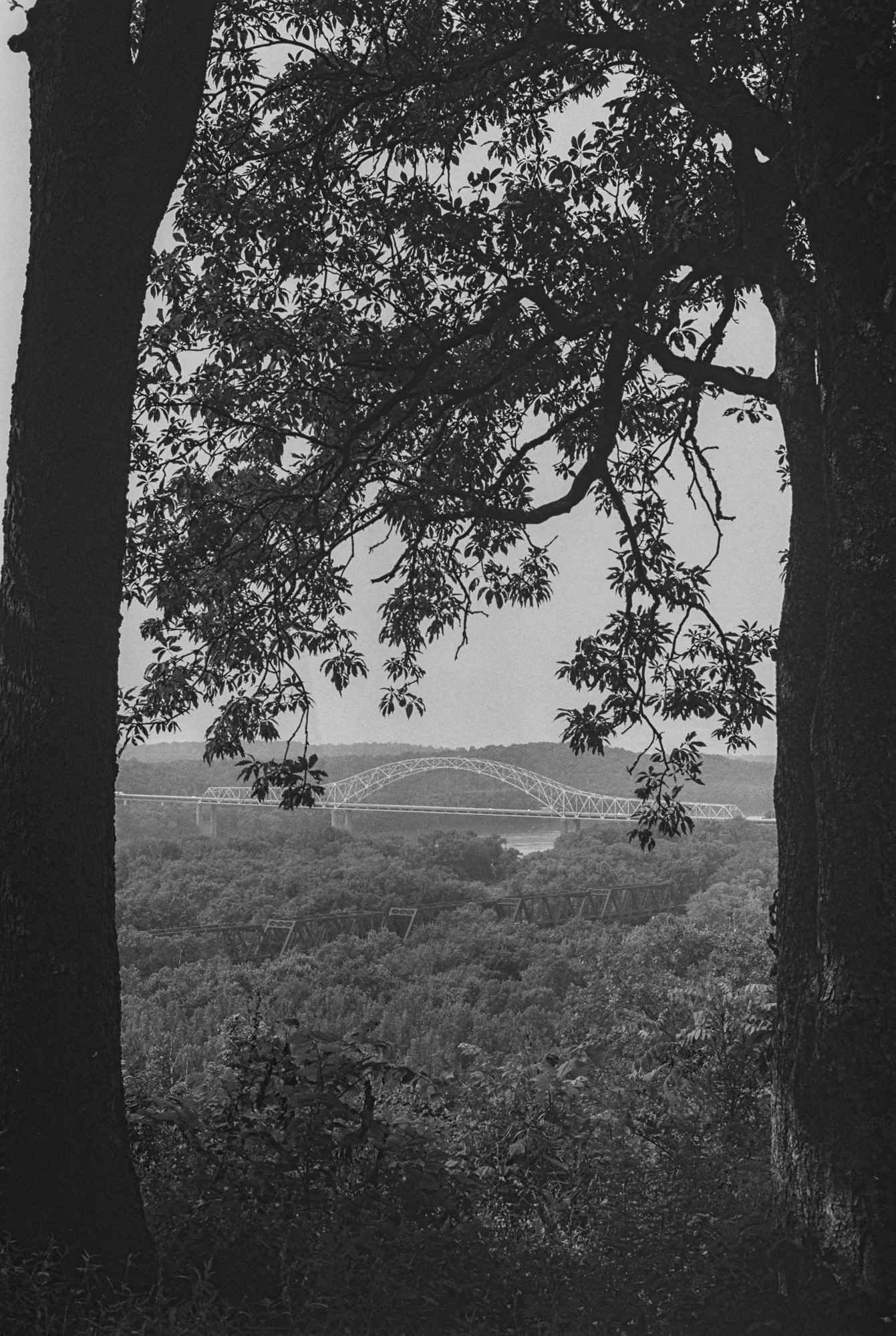 Lookout-1-2 (1).jpg