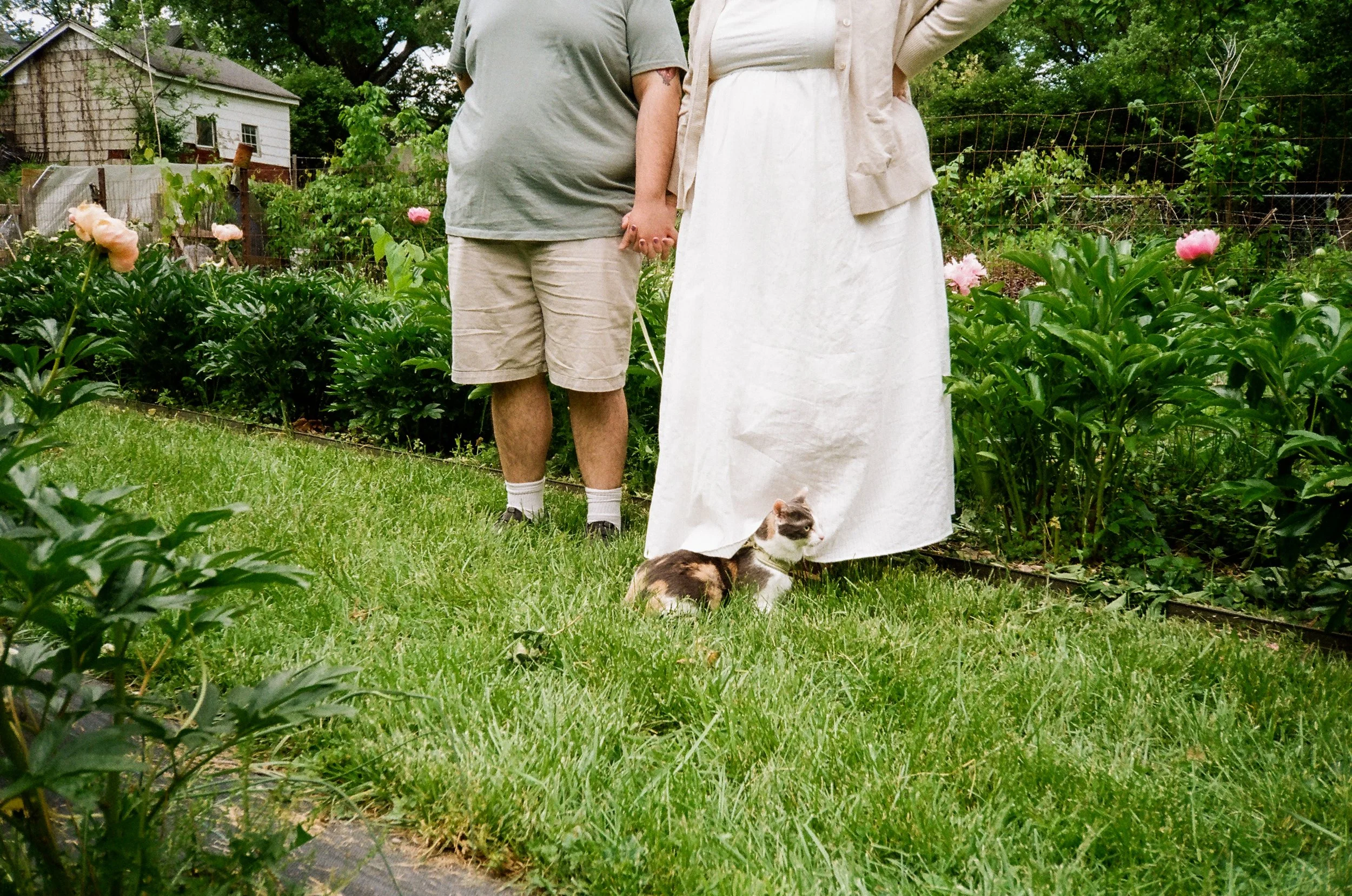 35mm Plant Sale-3.jpg
