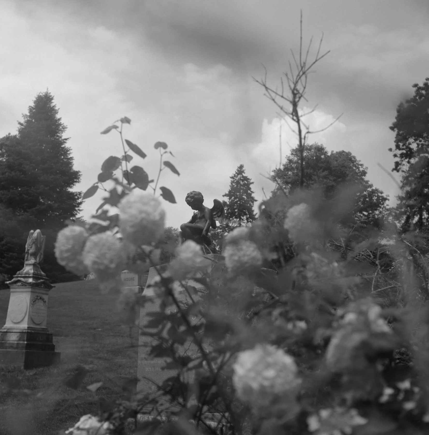 Eternal Sermon-9.jpg