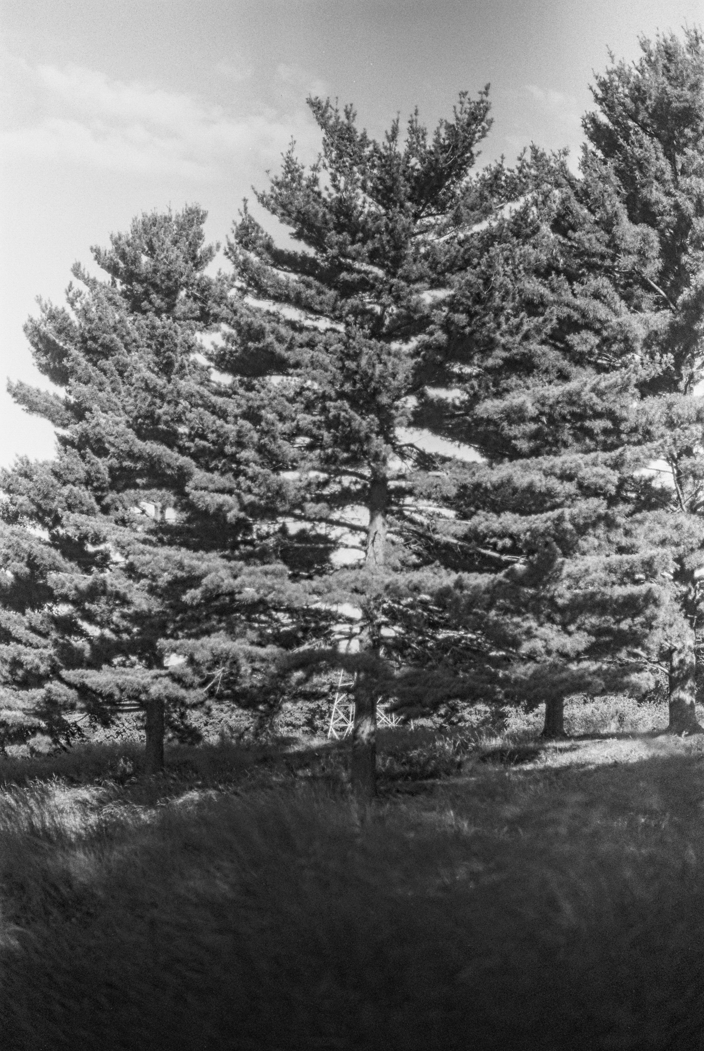lookout-27.jpg