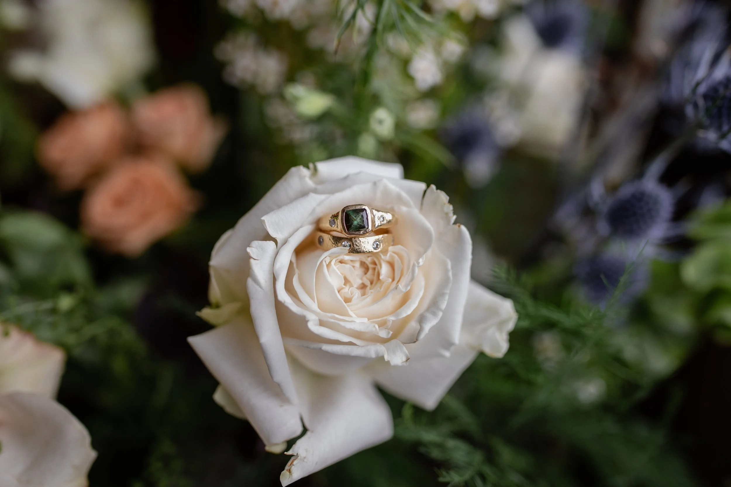 A white rose with a gold ring featuring a dark gemstone and small diamonds resting on its petals, surrounded by green foliage and other flowers.