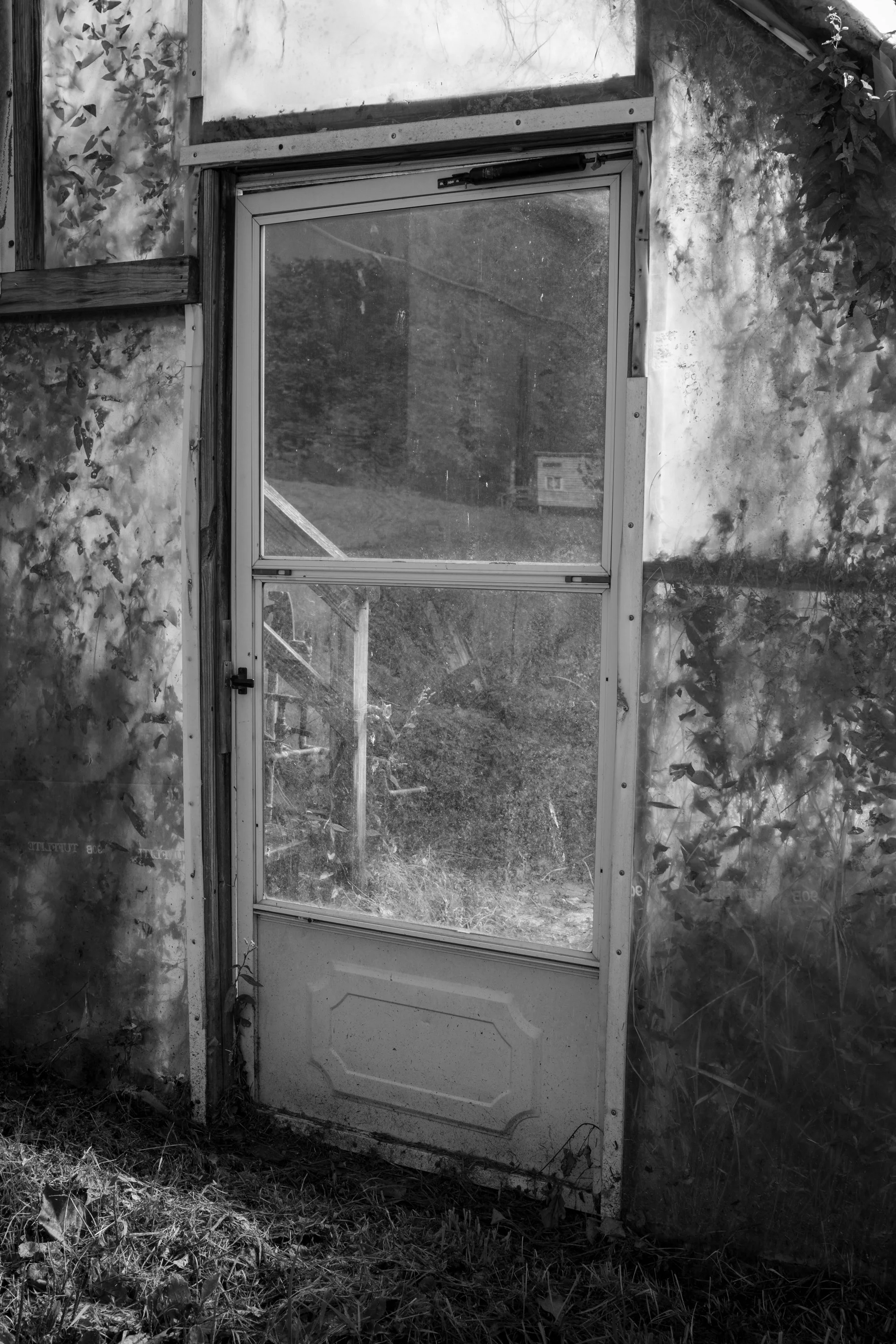 A black and white photo of an old, weathered door with a glass window, set in a wall with peeling and stained paint, amidst overgrown grass and plants outside.