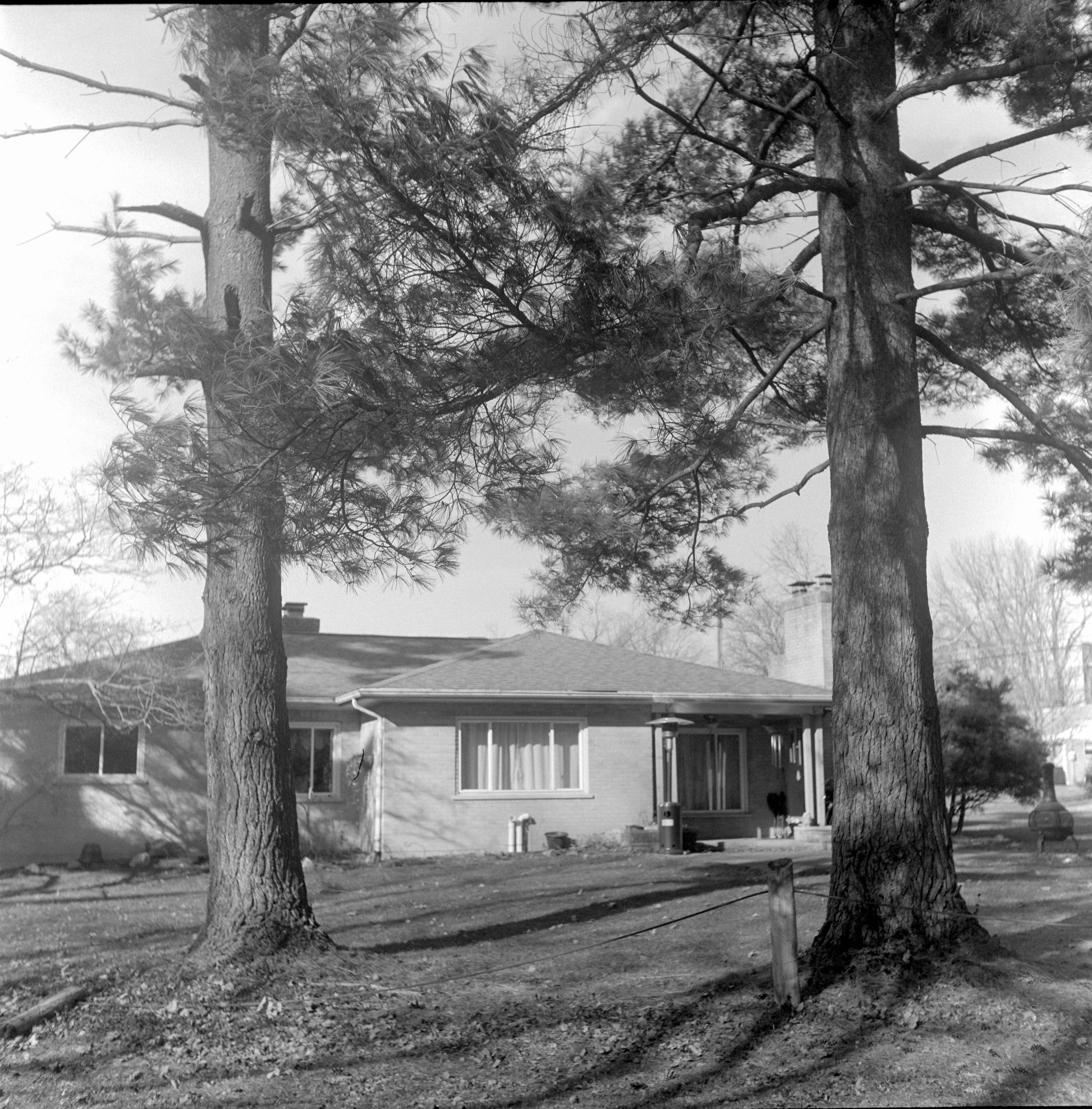 A residential backyard with two large trees in the foreground, a house with large windows and a porch in the background, and a grassy lawn with a small garden bed. The photo is in black and white.