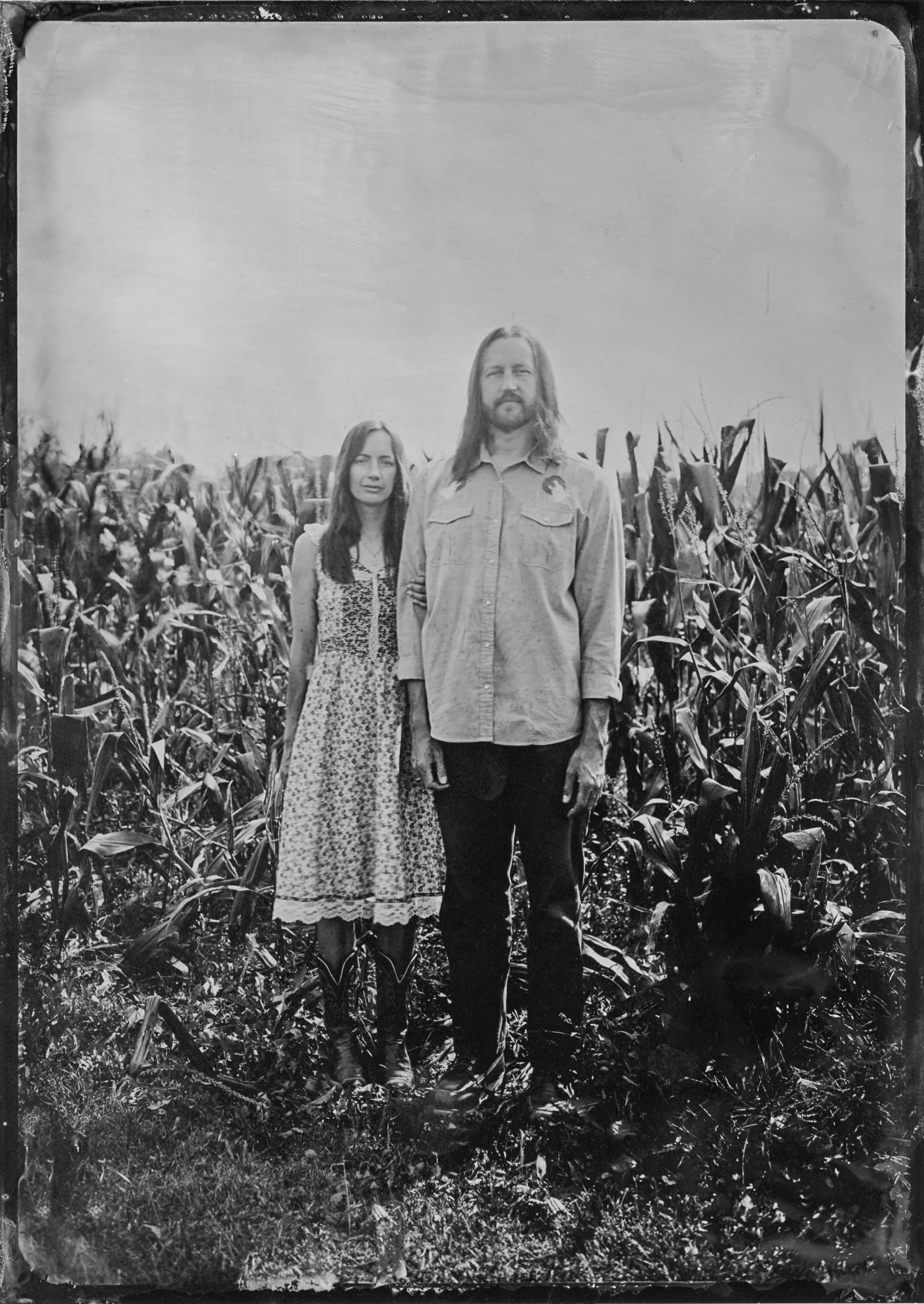 Corn Field-2.jpg