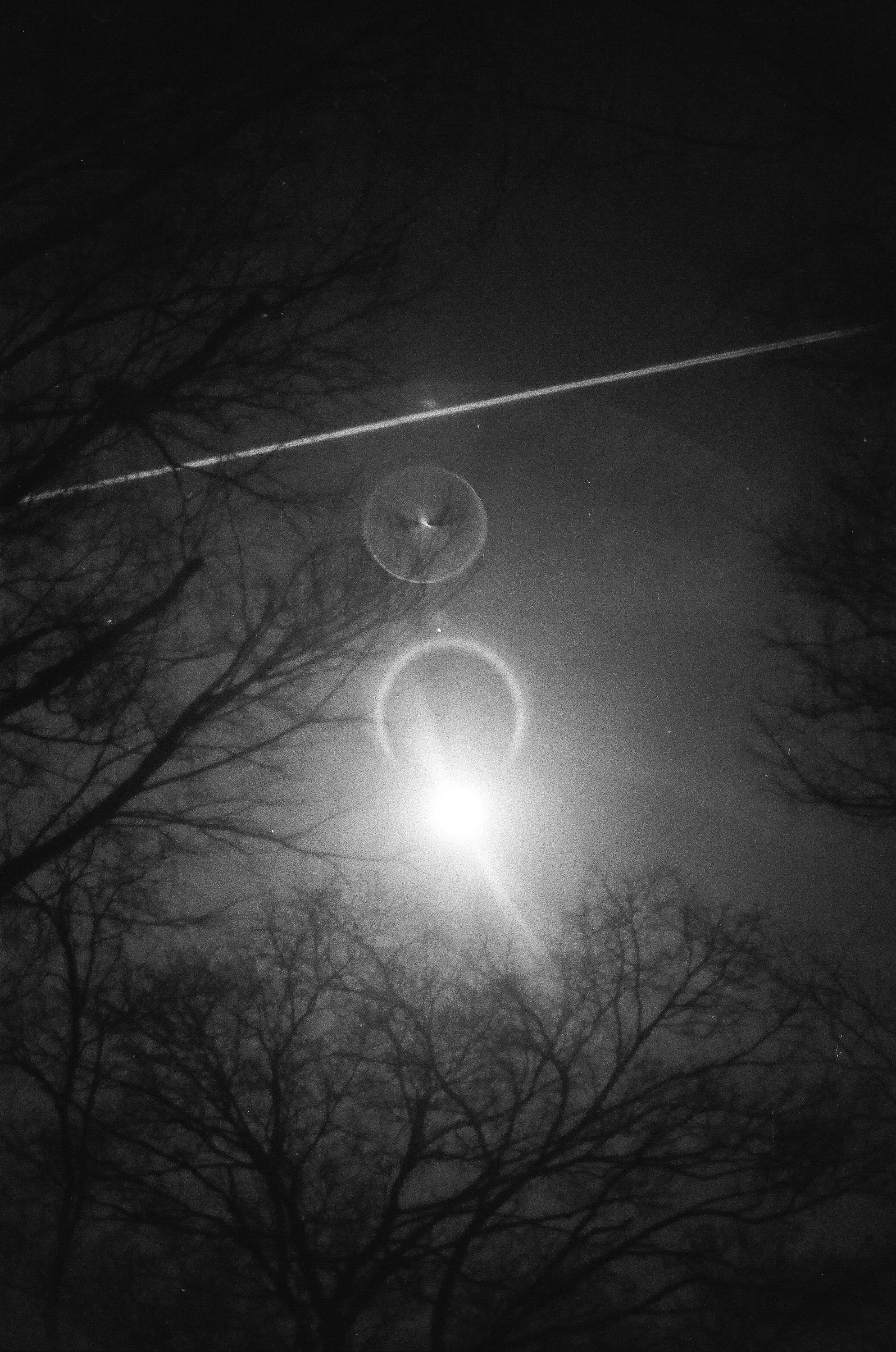 A black and white photo of the night sky with a bright moon peeking through bare tree branches. A crescent moon and lens flare are visible.