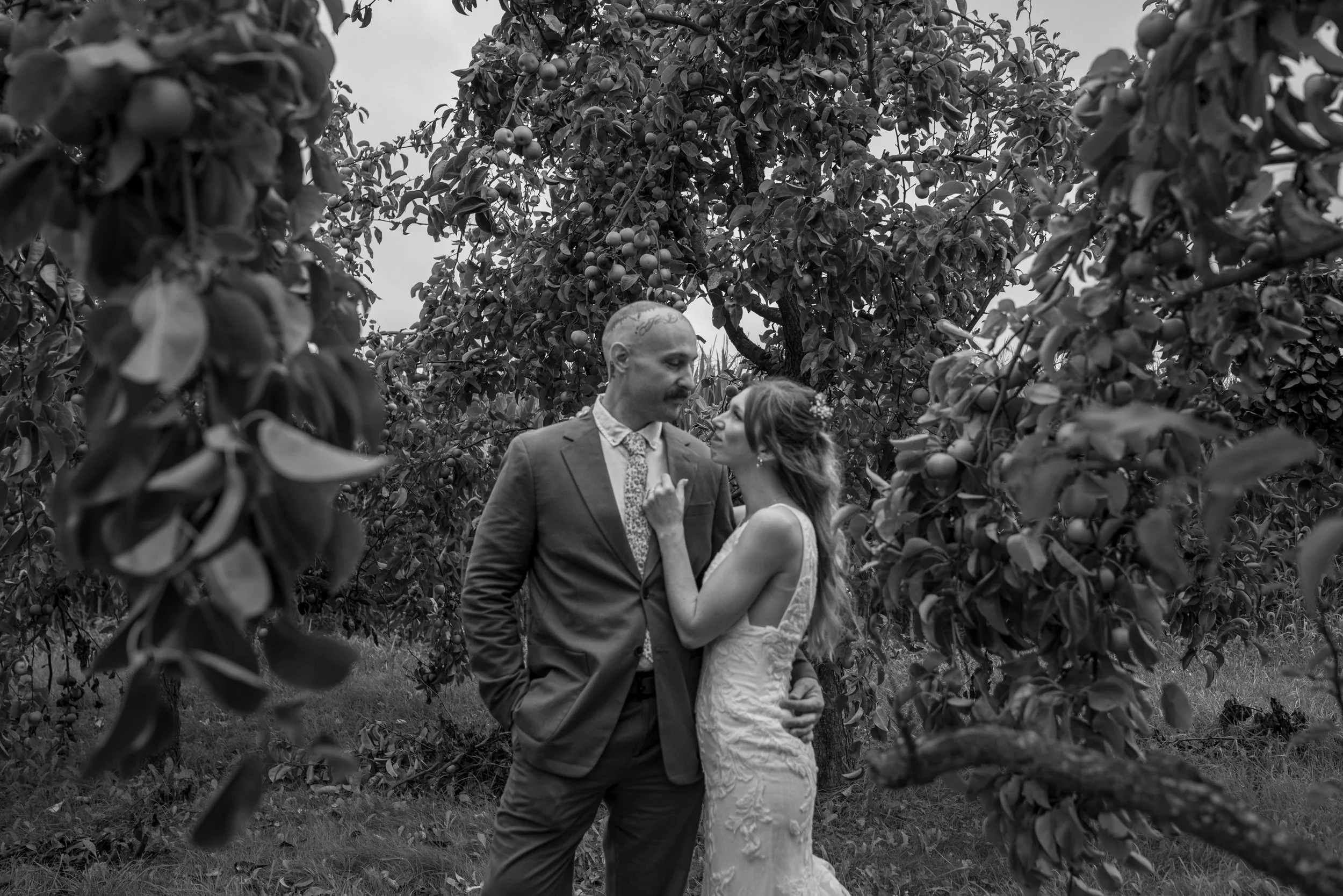 A black and white photo of a couple in wedding attire standing in an orchard of fruit trees, with the groom wearing a suit and the bride in a wedding dress, holding each other while gazing into each other's eyes.