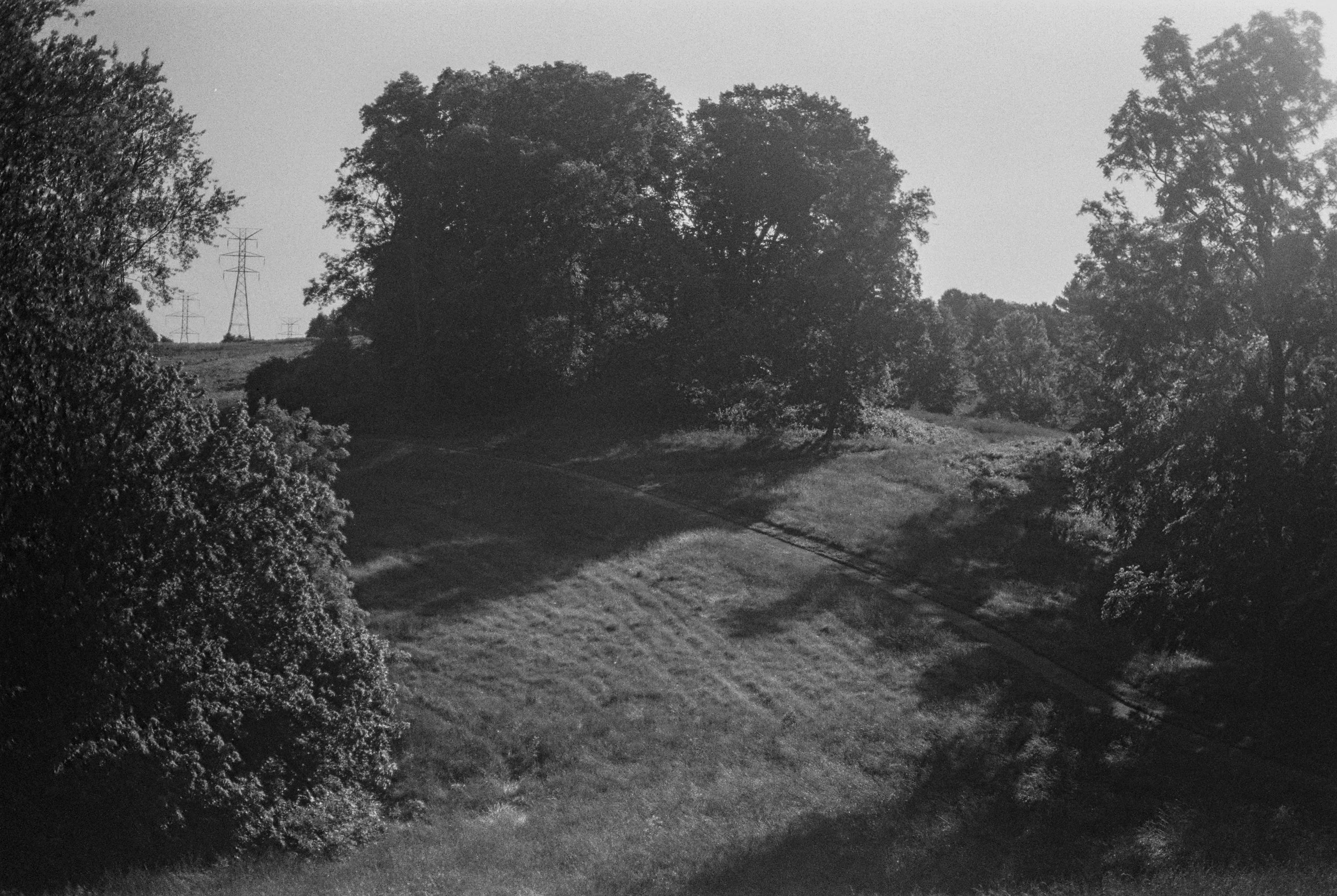 lookout-13.jpg