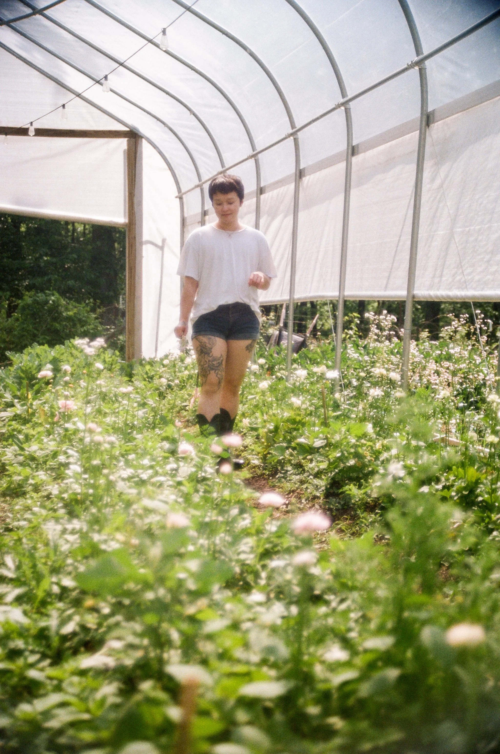 A person with short dark hair, wearing a white shirt and black shorts, walking inside a greenhouse filled with green plants and flowers.