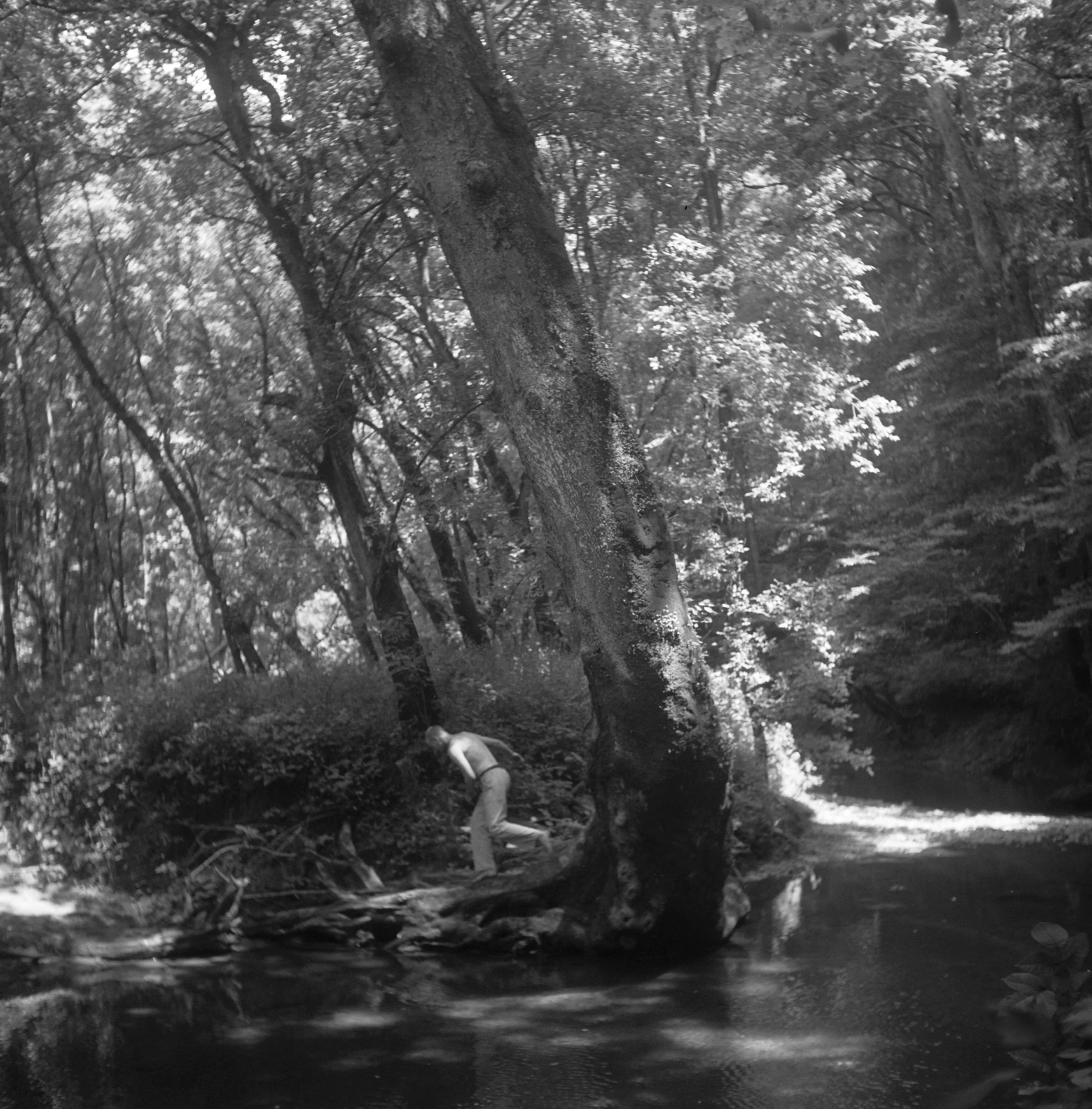 Black and white photograph of a forest scene with tall trees and a small waterfall or stream in the foreground. There is a person near the bottom left corner wearing a hat and light-colored clothing.