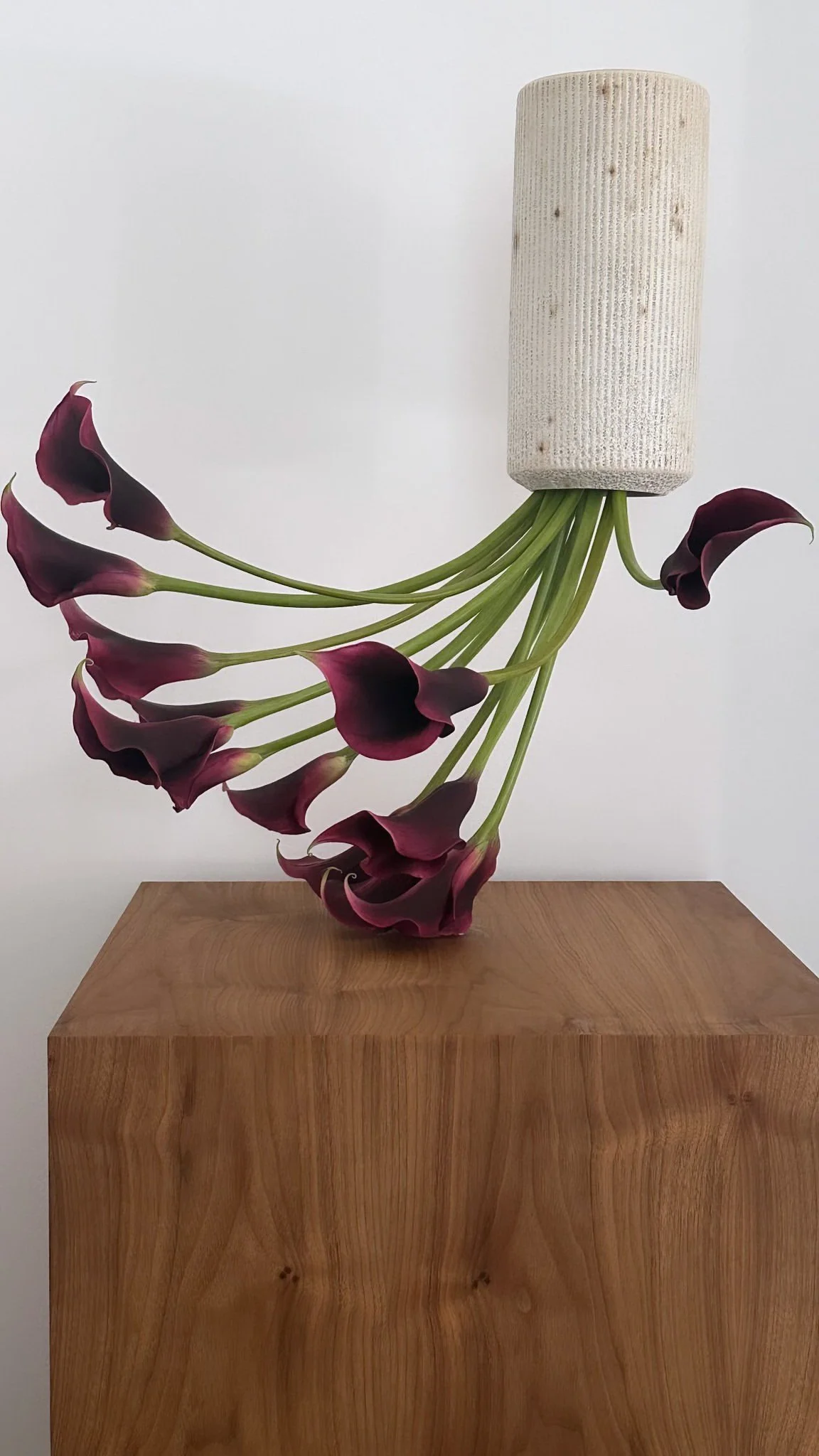 A sculpture of dark purple calla lilies with long green stems, topped with a cylindrical beige textured object, all mounted on a wooden pedestal.