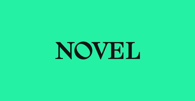 The word 'NOVEL' in black text on a turquoise background.