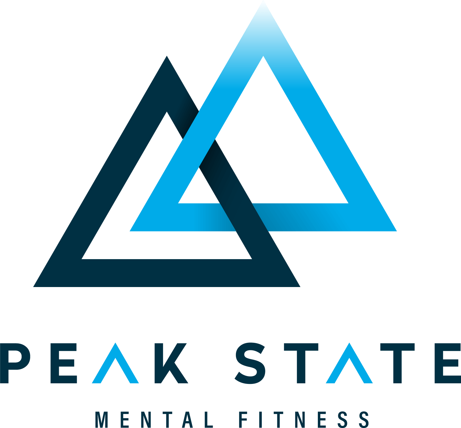 Logo featuring an abstract triangular mountain design with the words 'Peak State' and 'Mental Fitness' underneath.