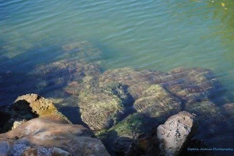 Clear water with rocks visible beneath the surface near the shoreline.