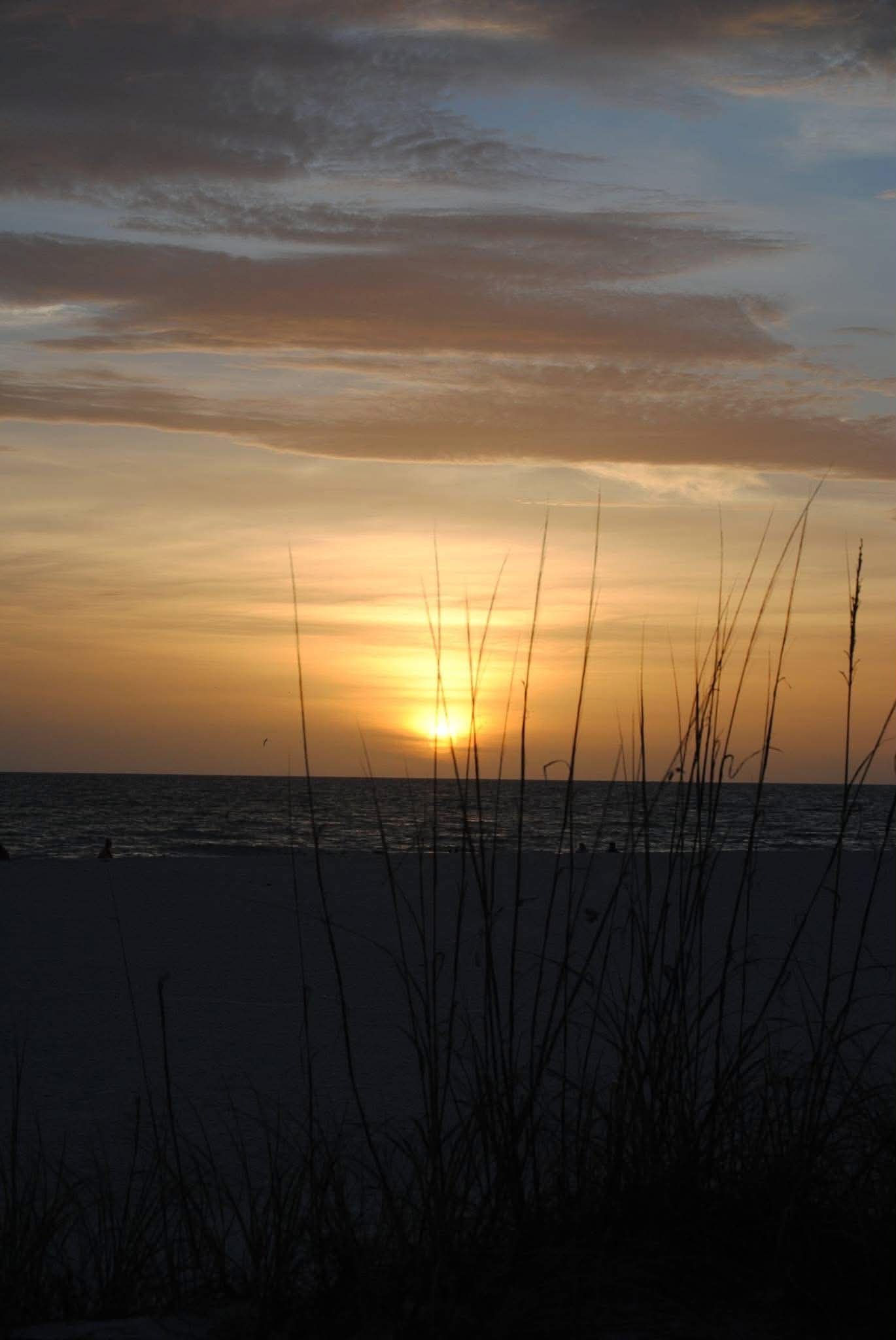Sunset over the ocean with dark clouds and tall grasses in the foreground.