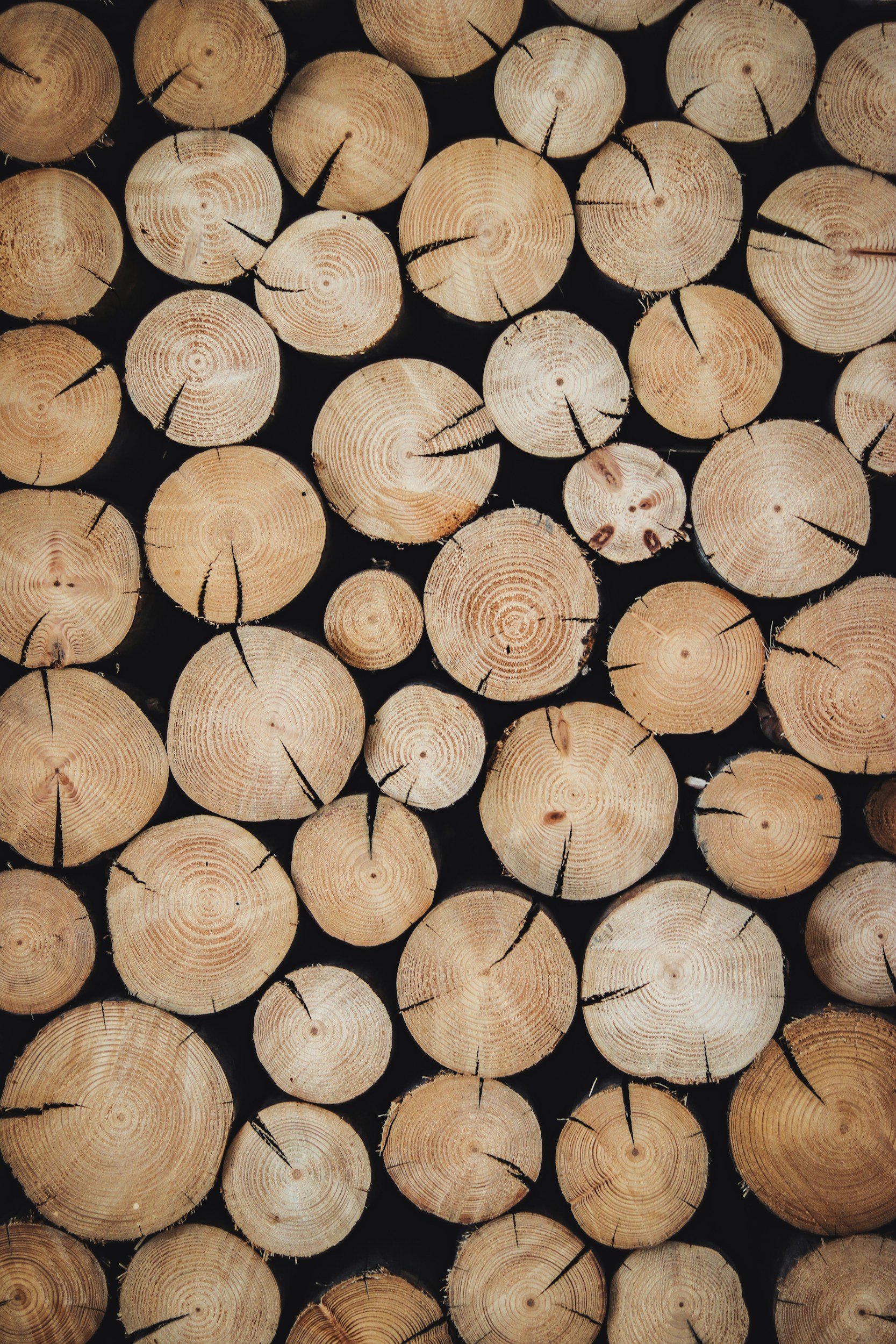 Stacked wooden logs with visible growth rings and radial cracks.