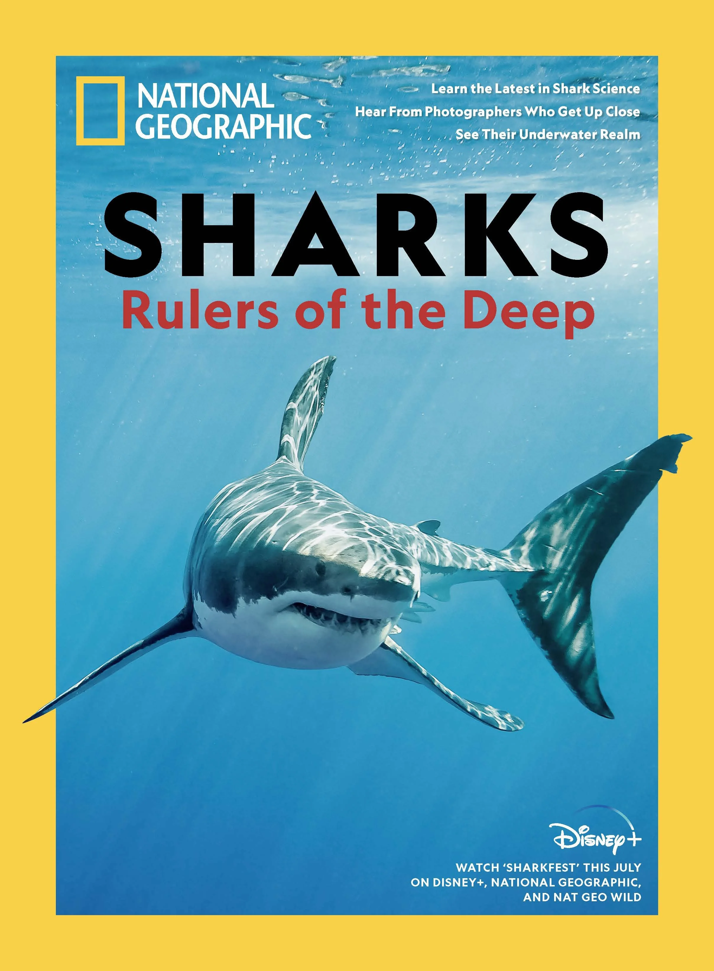 National Geographic Covers_Page_24.jpg