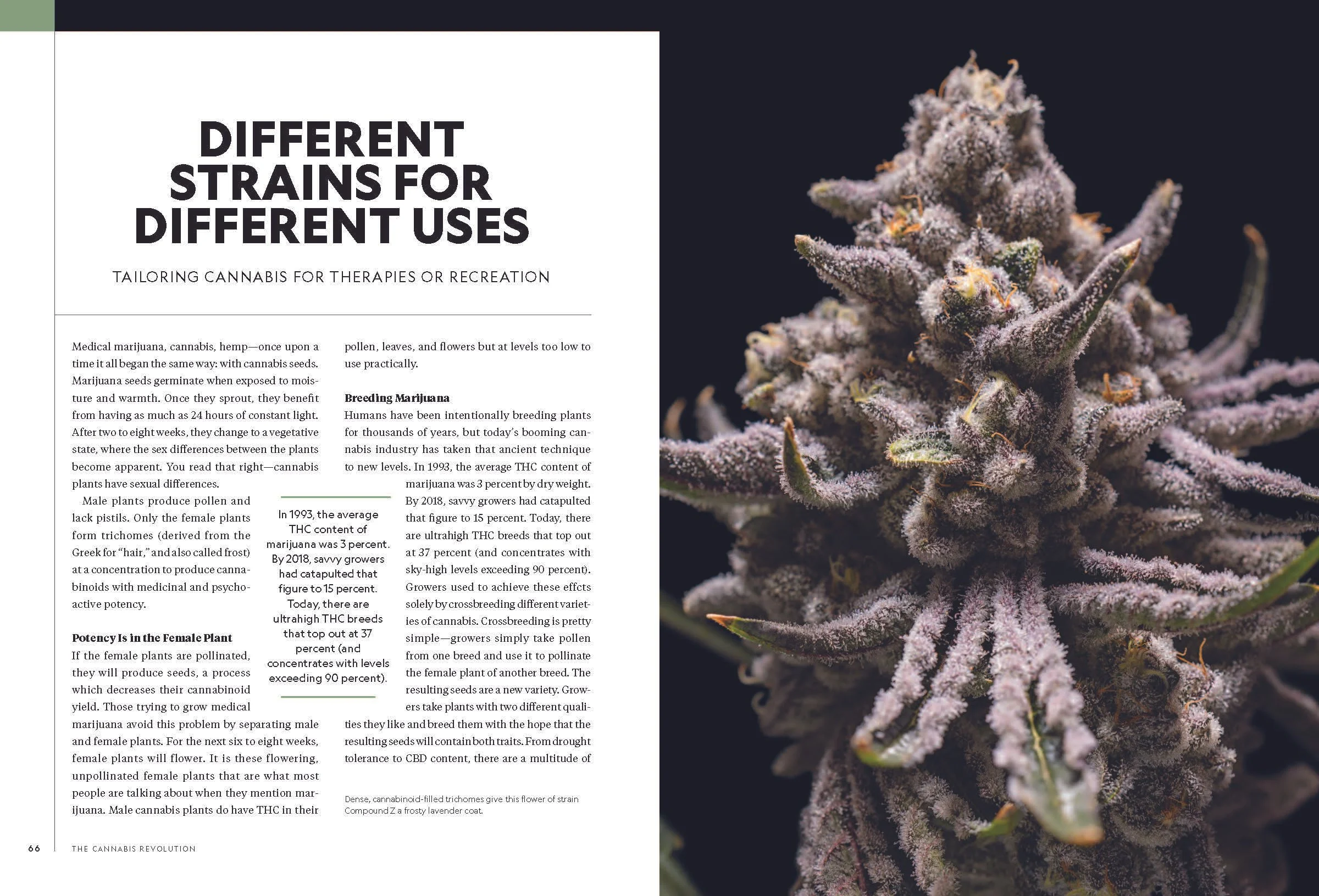Pages from The-Cannabis-Revolution_REP2024_Page_2.jpg