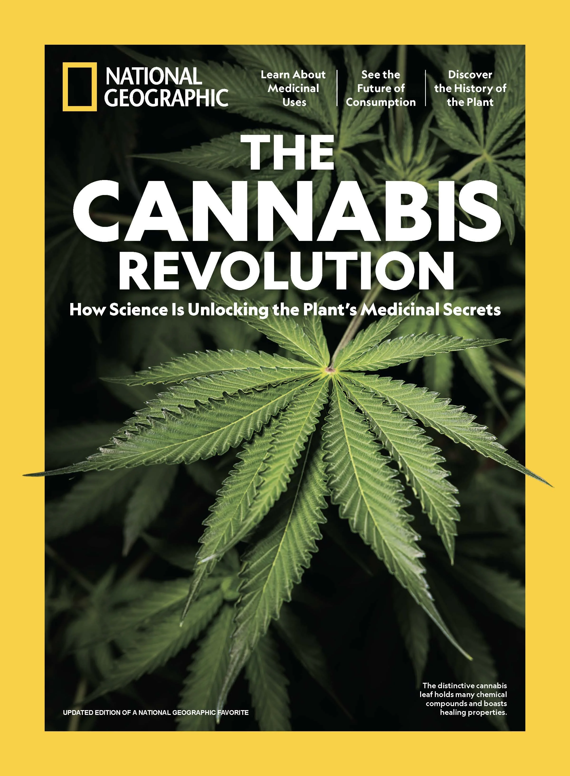 National Geographic Covers_Page_27.jpg