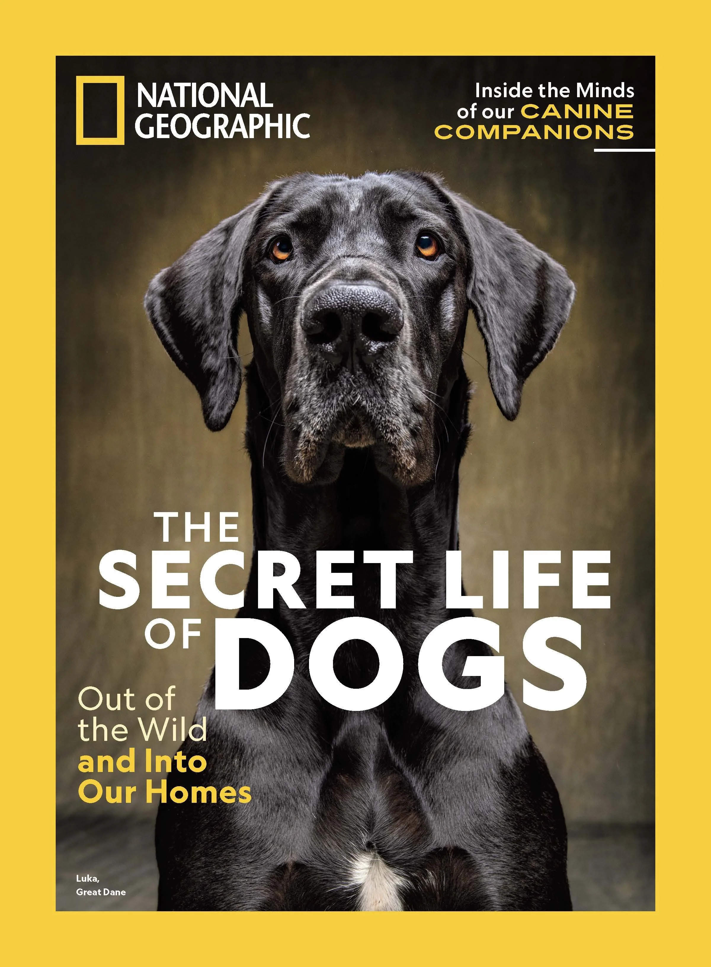 National Geographic Covers_Page_20.jpg