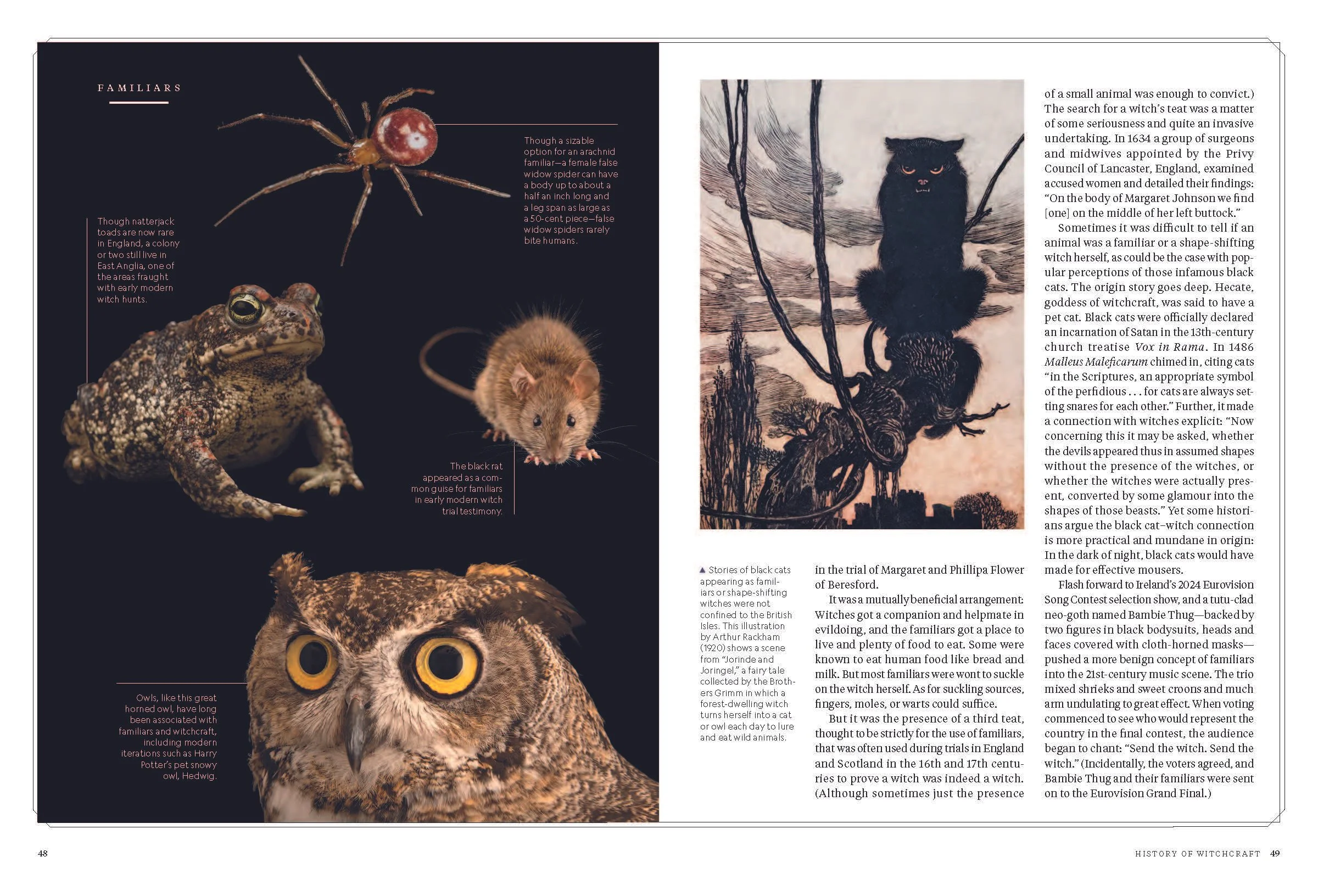 Pages from The-History-of-Witchcraft_2024_Page_2.jpg