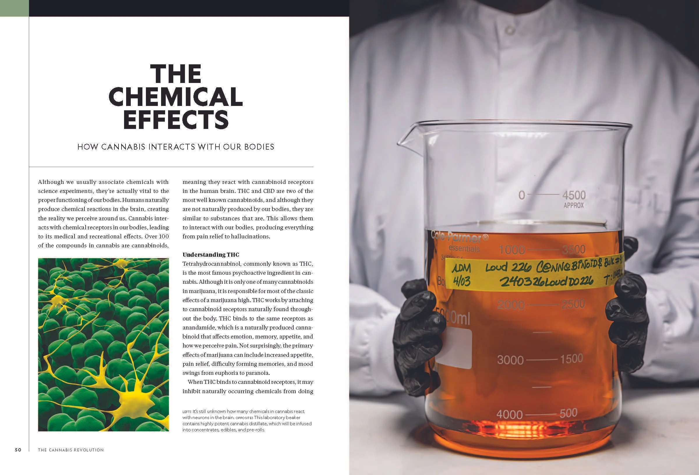 Pages from The-Cannabis-Revolution_REP2024_Page_1.jpg