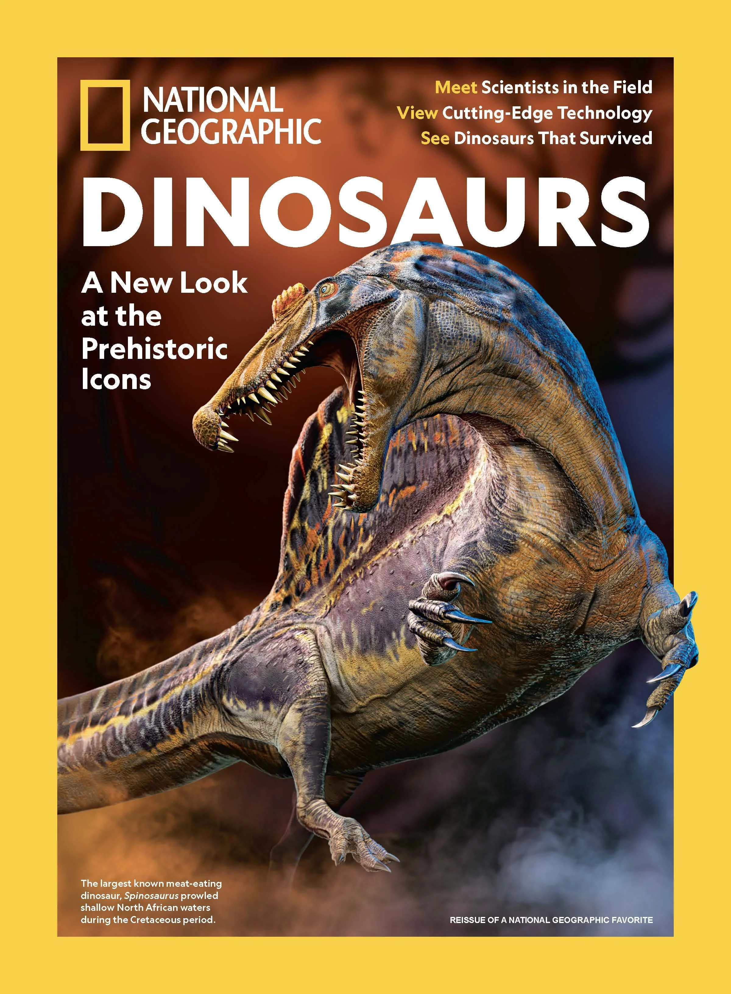 National Geographic Covers_Page_05.jpg