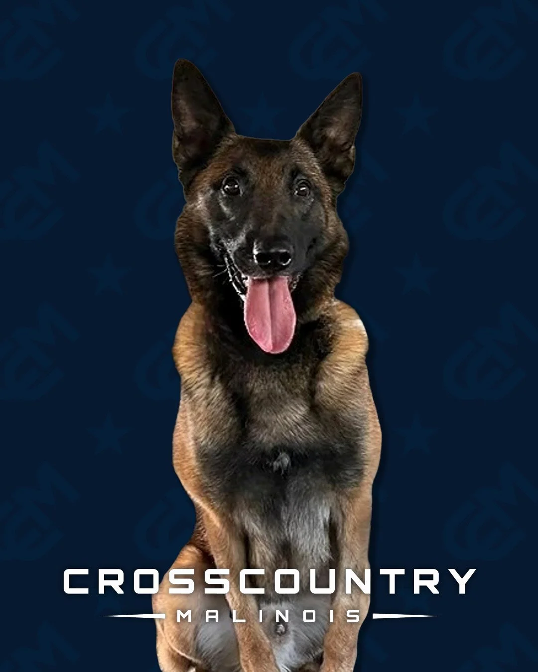 Barbarian Life Begins