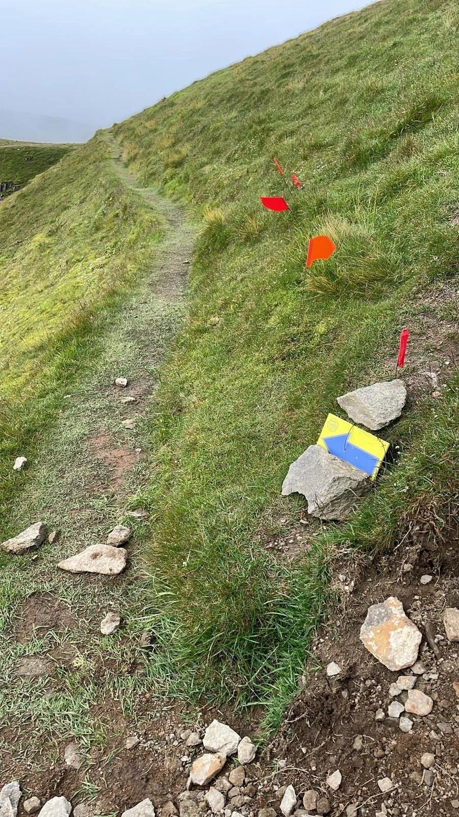 A narrow dirt trail winds along a grassy hillside with orange and red survey flags and rocks scattered along the side of the path.