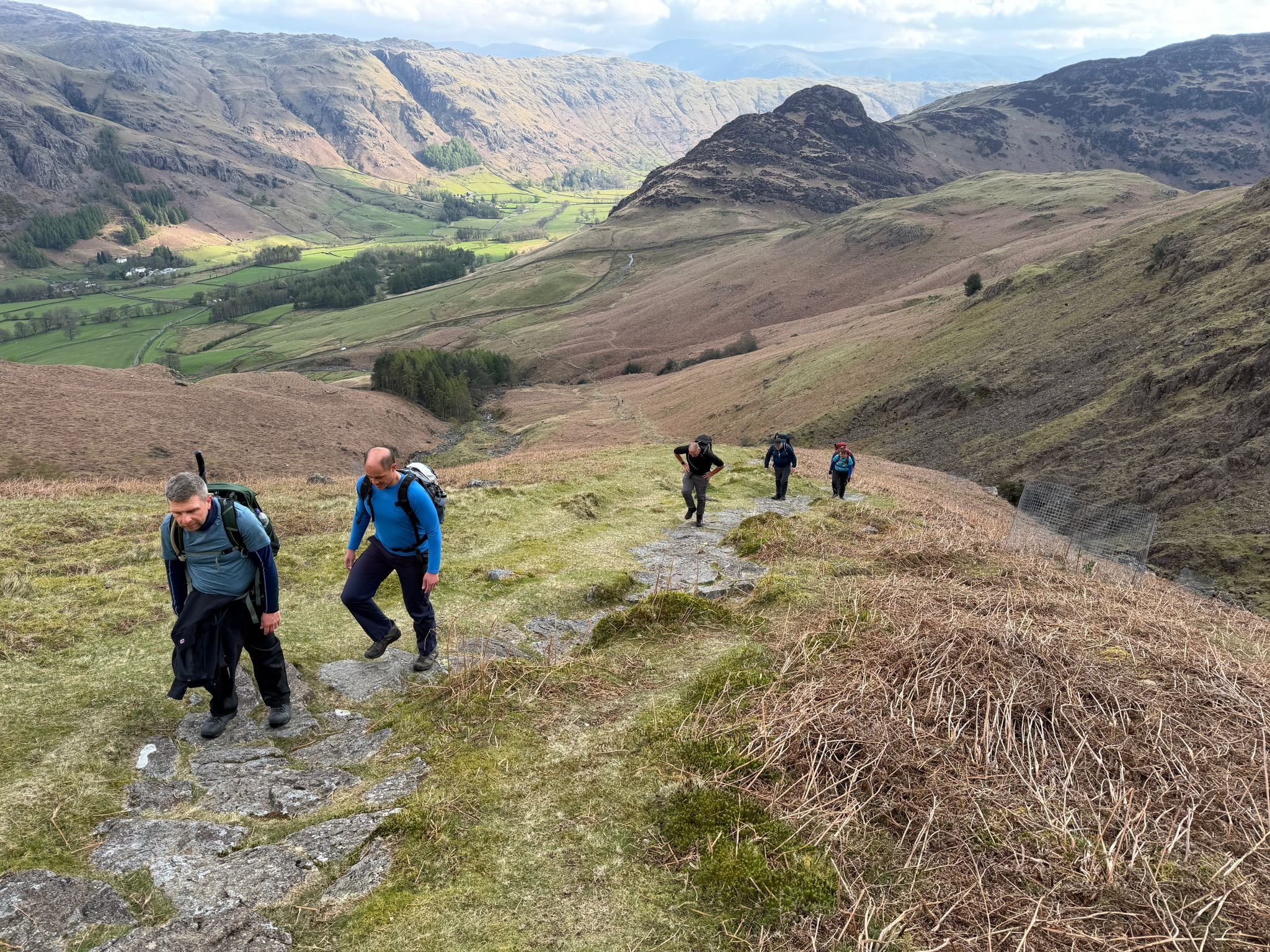 A group of hikers with backpacks ascending a grassy and rocky hillside in a mountainous landscape.