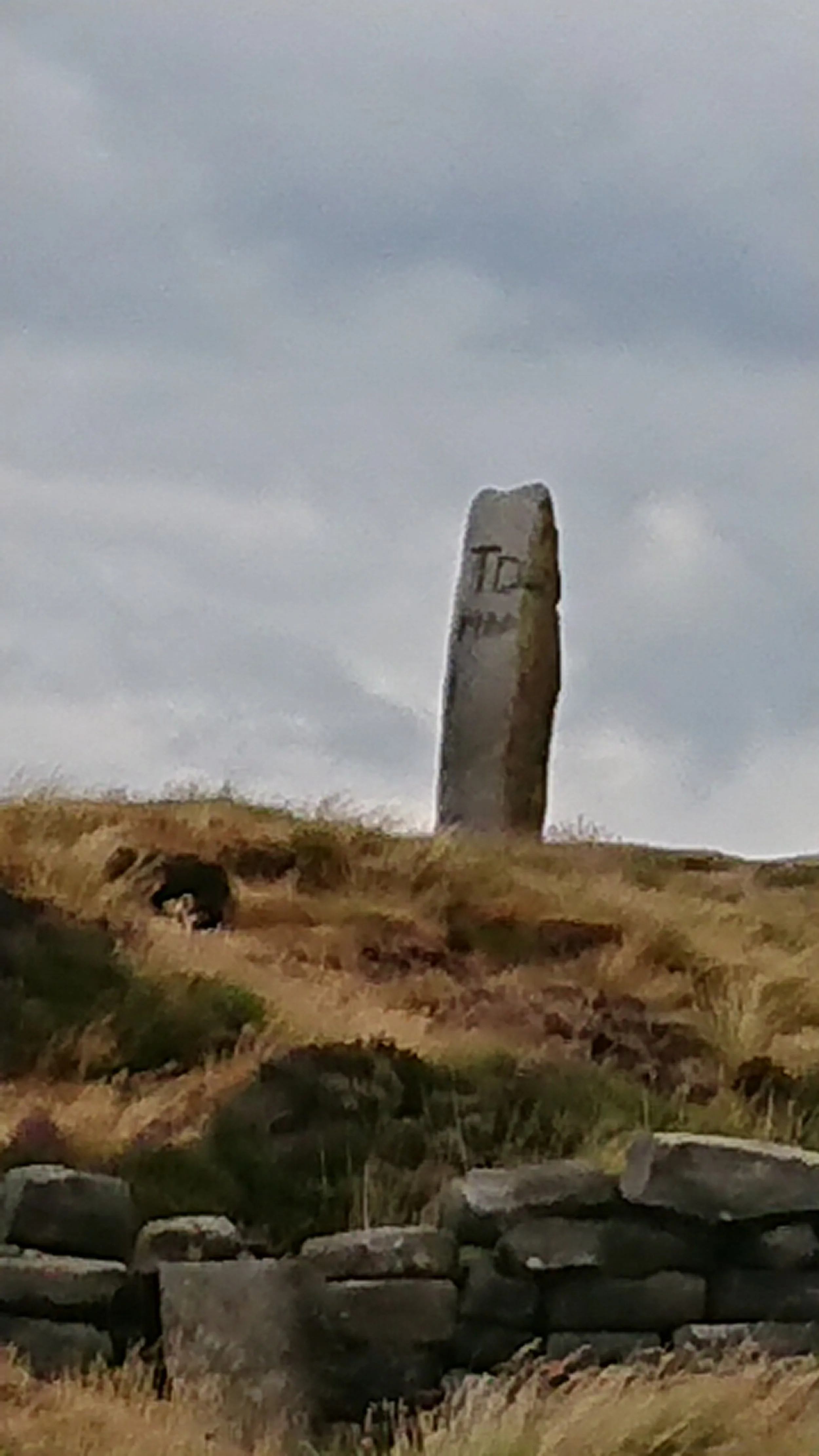 Lyke Wake Stone