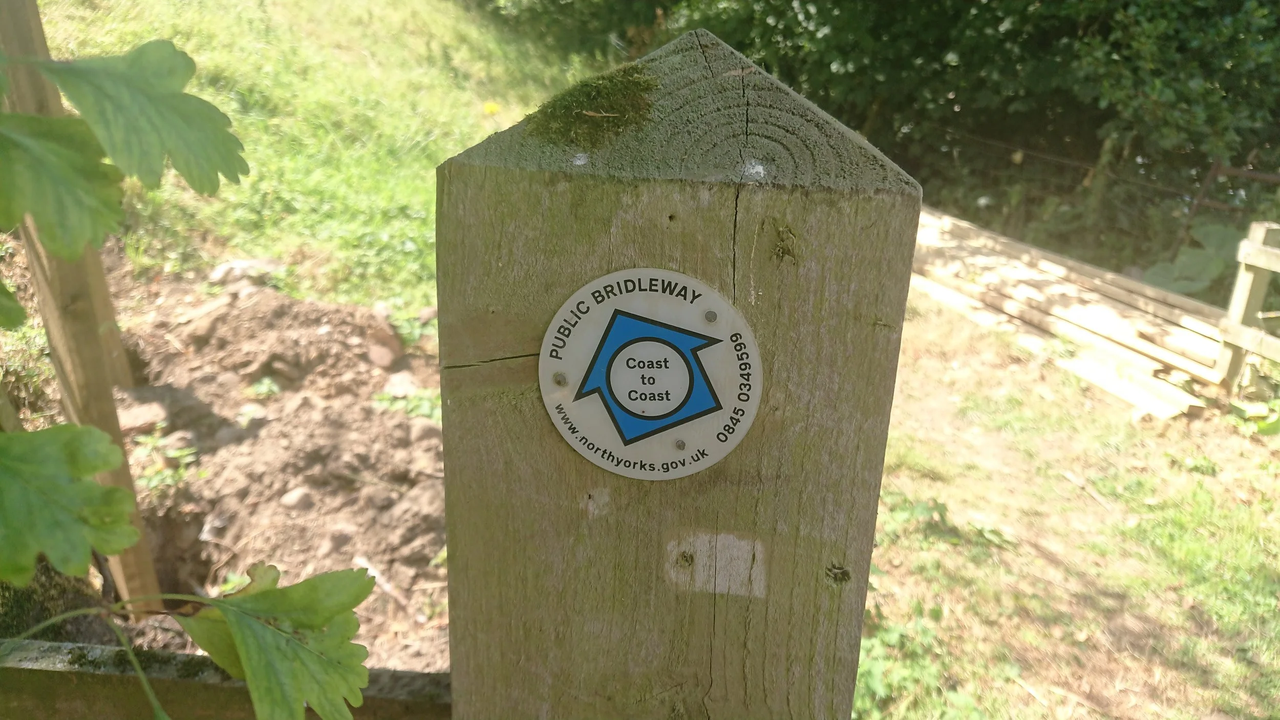 C2C