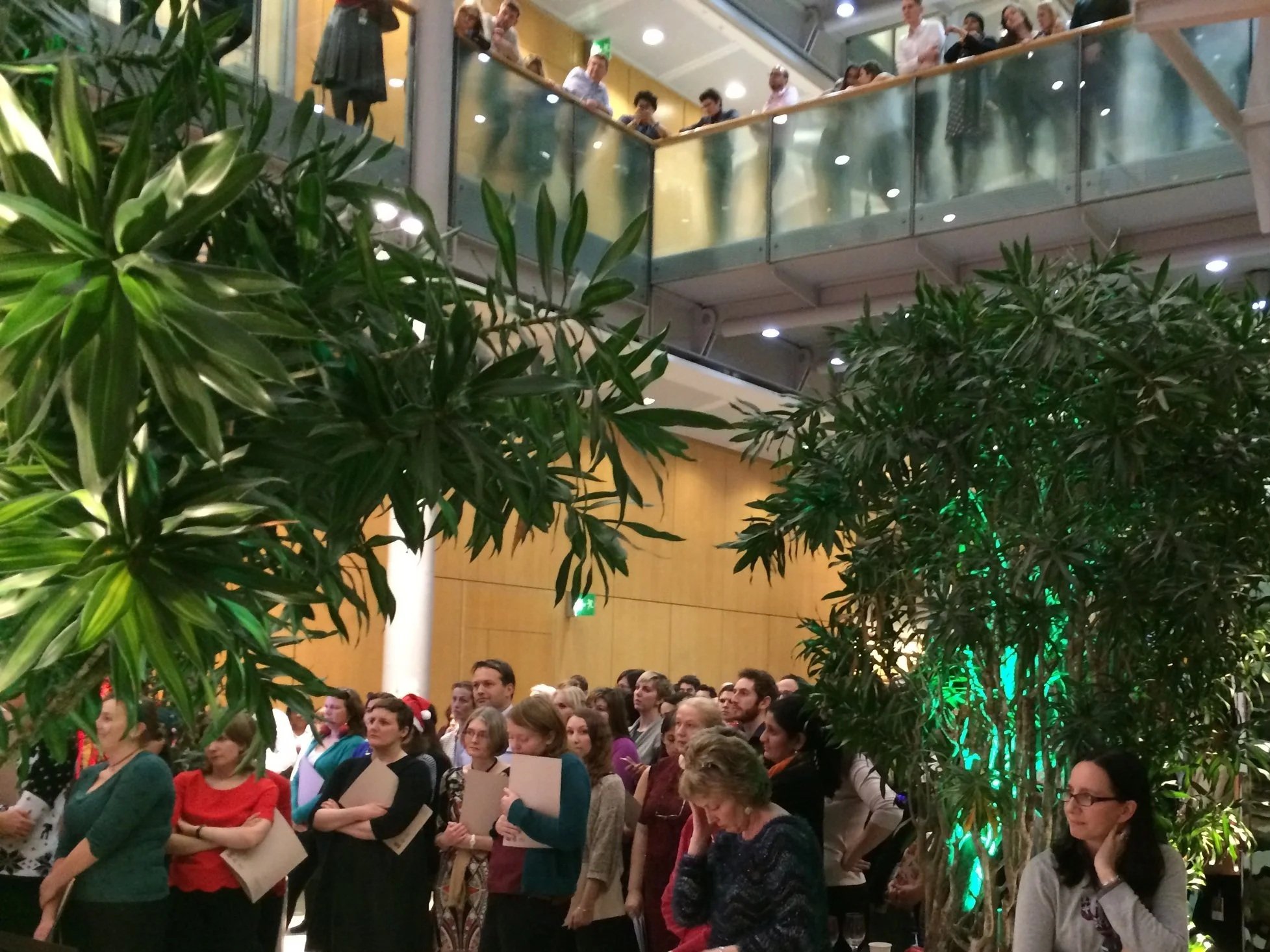 A packed out staff audience of 1000, attending a talk from Tedros Adhanom Ghebreyesus, Director of the World Health Organisation.