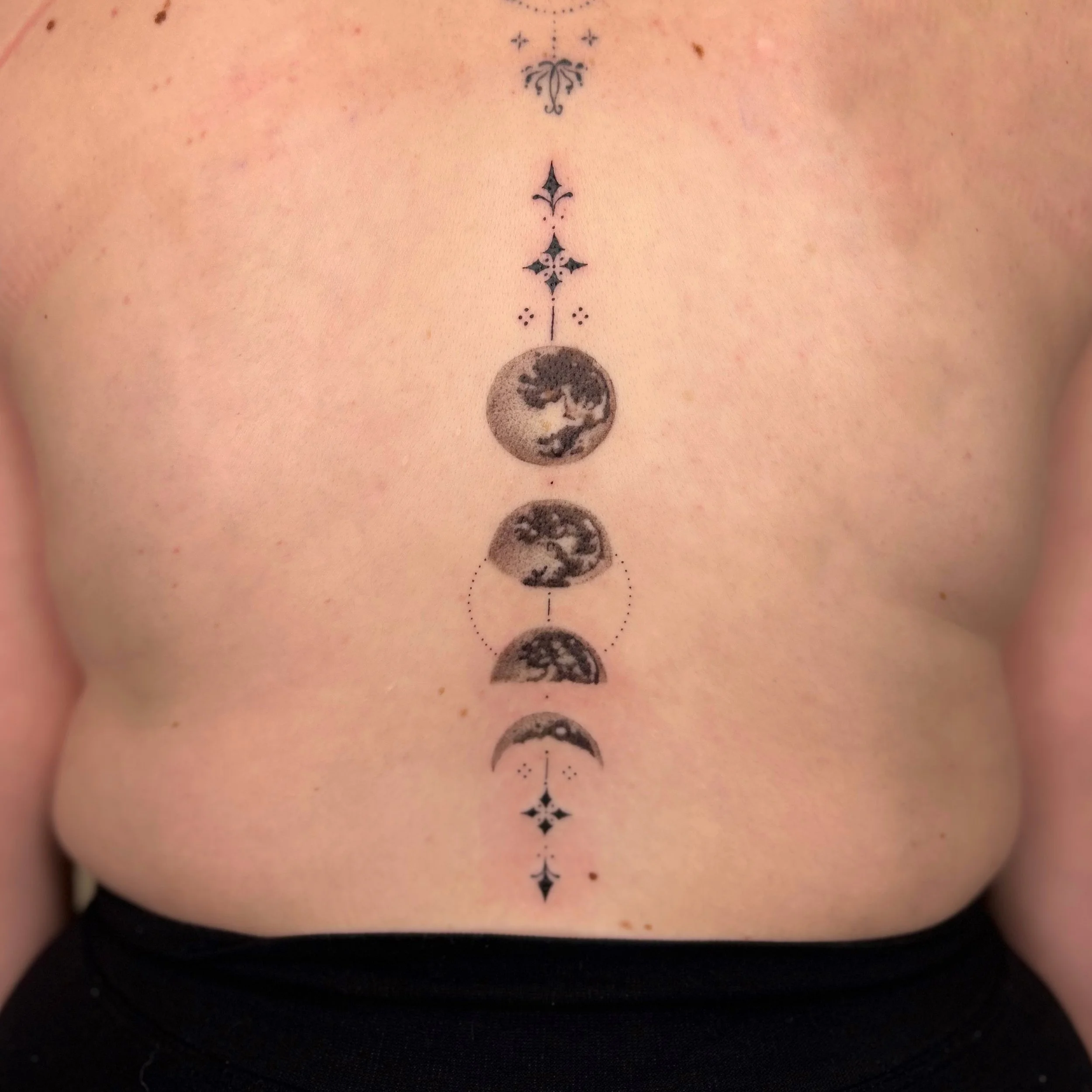 moon phases spine.JPG