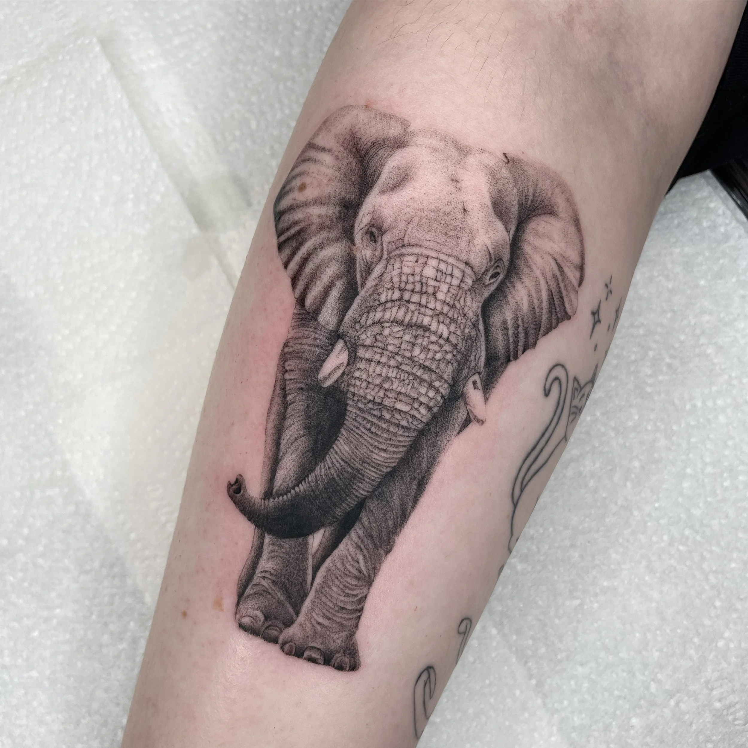 micro-realism elephant.JPG