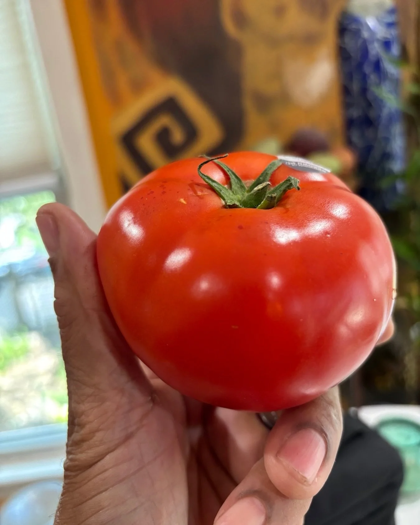 Now that&rsquo;s a pretty tomato and no, I did not grow it. I got it from Lidl.