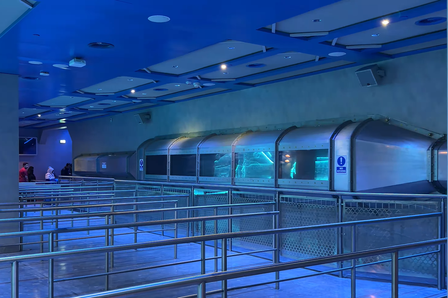 Falcon Tube - Six Flags