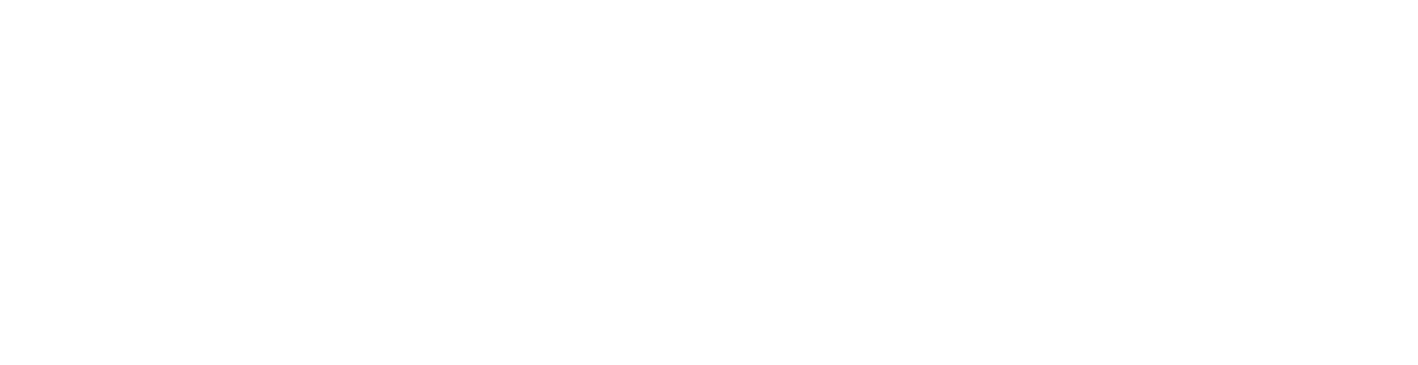 HOLYGEN