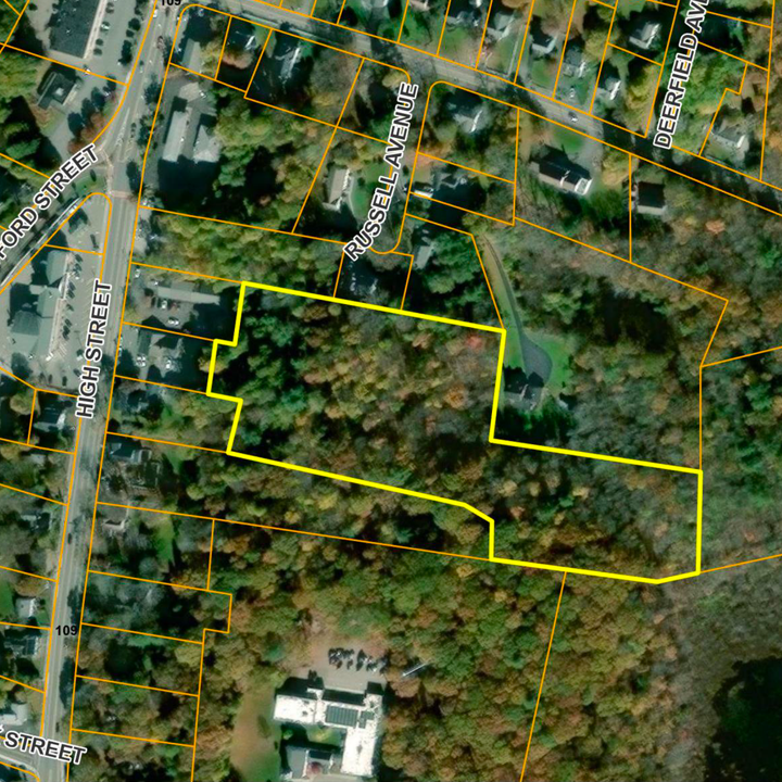 Aerial view of a residential area with streets named High Street, Ford Street, Russell Avenue, and Deerfield Avenue. The image shows a large wooded lot outlined in yellow surrounded by smaller properties and houses.
