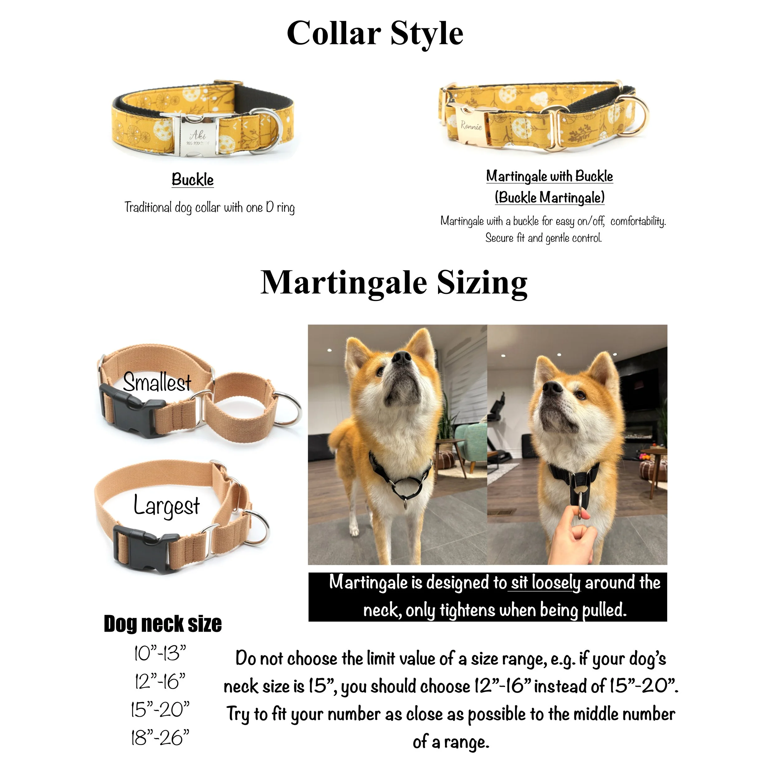 Martingale vs Buckle Collar: Which One Is Right for Your Dog?
