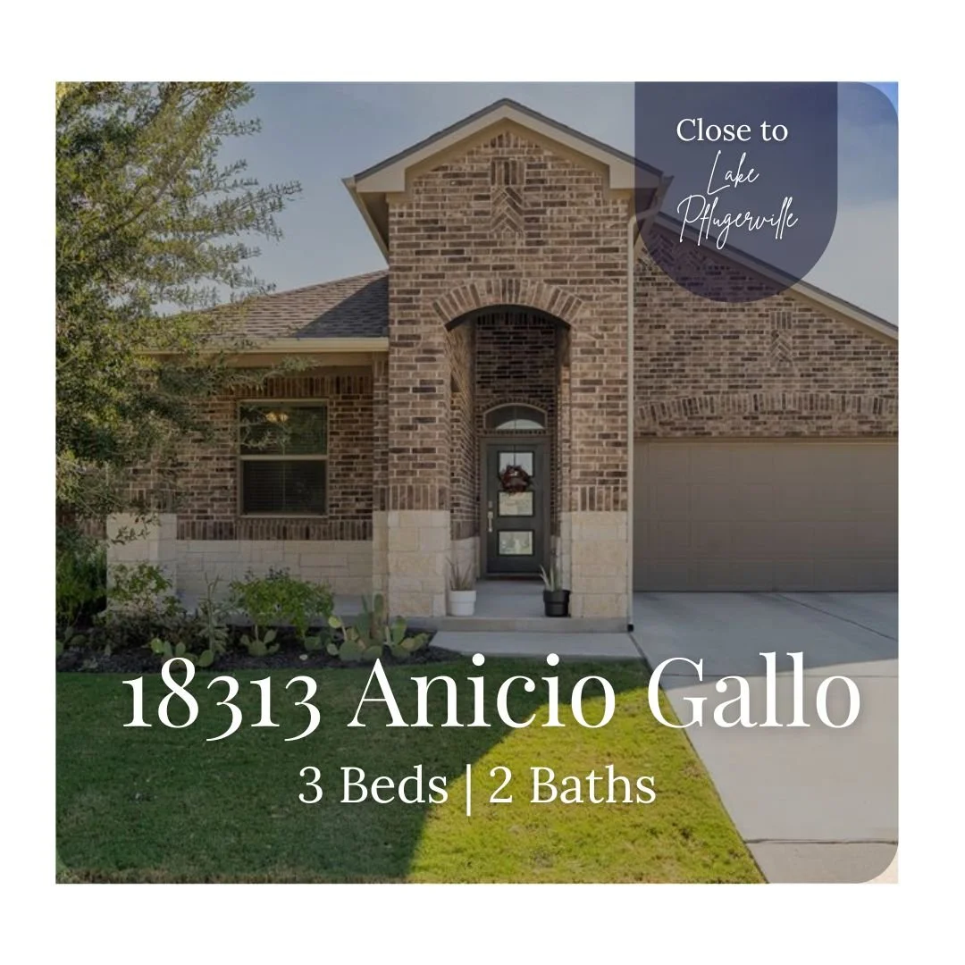 18313 Anicio Gallo  