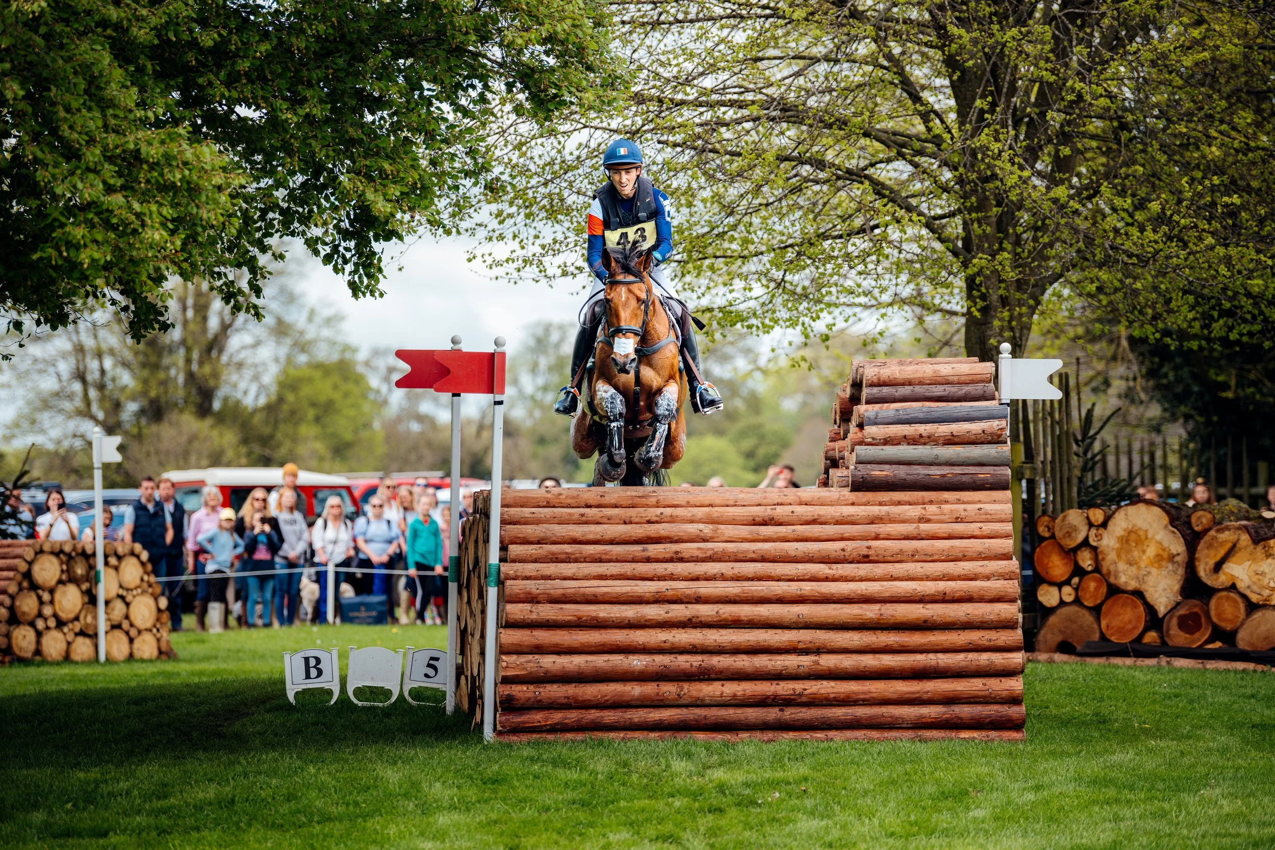 A rider clearing a massive solid log obstacle during the elite cross-country discipline at the prestigious Badminton Horse Trials, Gloucestershire. Premium countryside sporting event and outdoor lifestyle photography by Will Bailey.