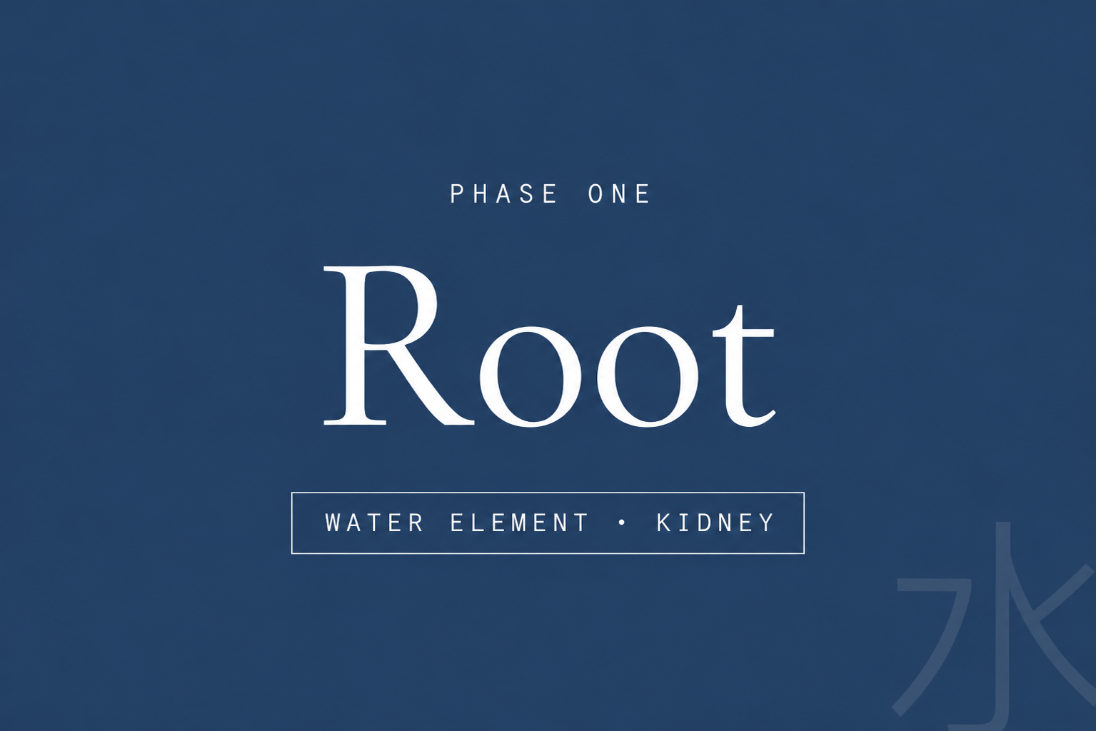 Title slide for Phase One of a presentation, featuring the word 'Root' with text indicating water element and kidney, set against a blue background.