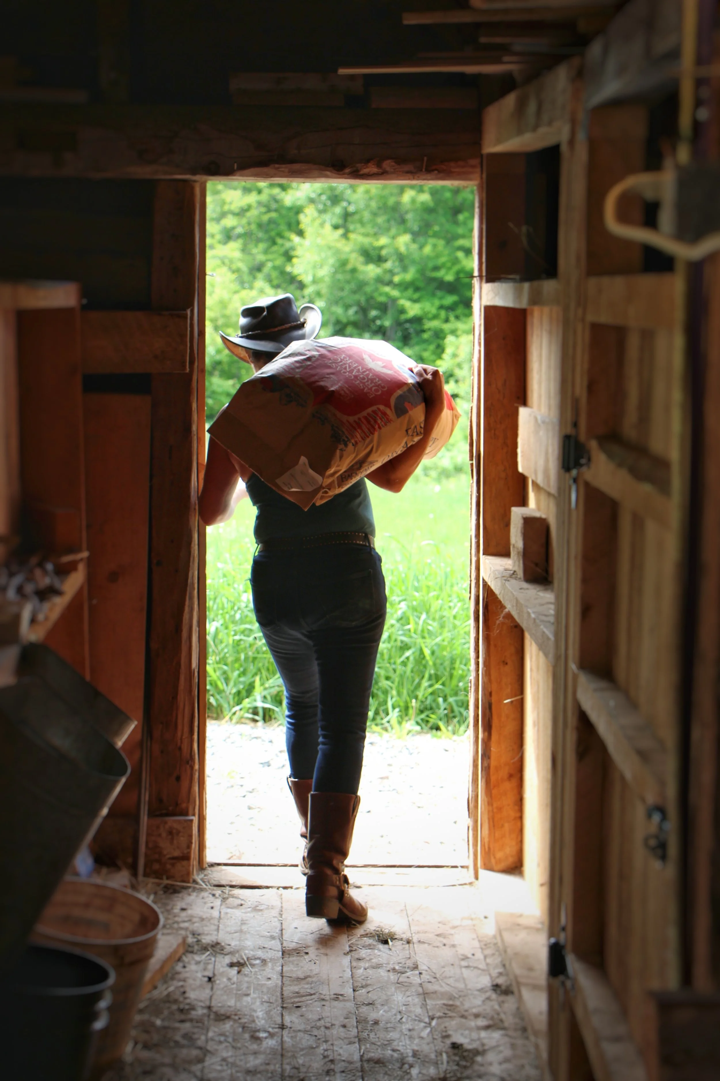 What I Cannot Carry