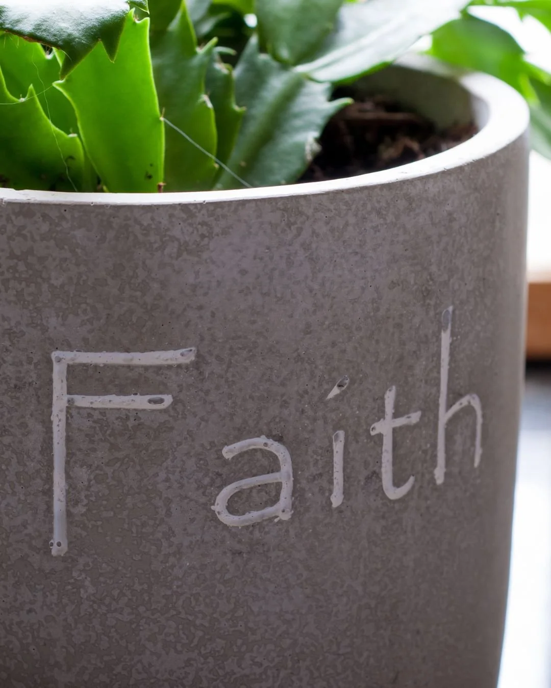 Close-up of a grey pot with the word 'Faith' written on it, containing a green succulent plant.