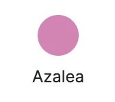 Azalea.jpg