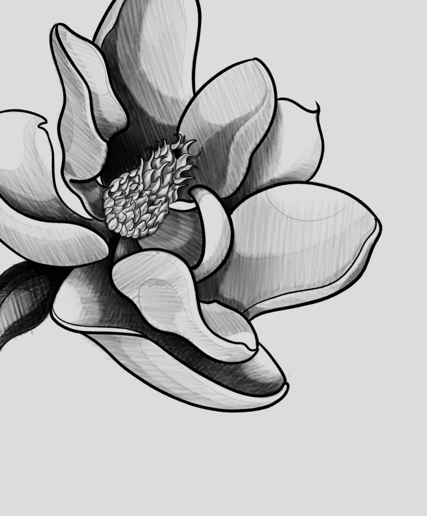 Some recent sketch/practice.