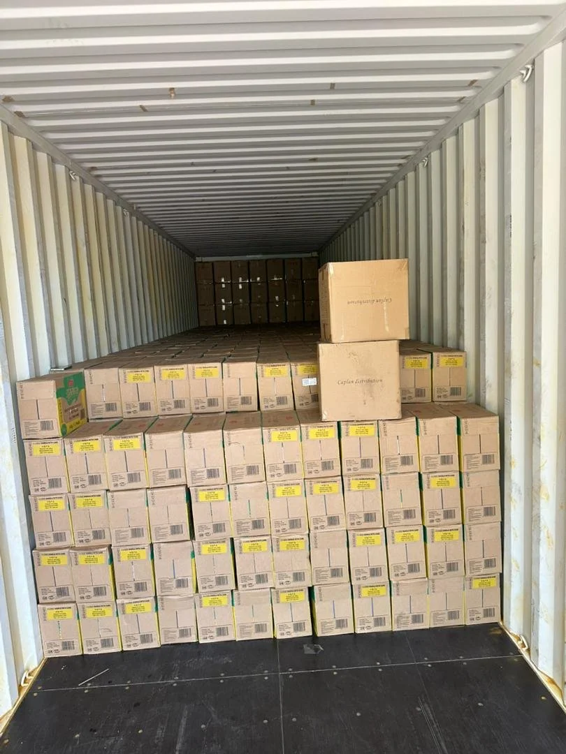 Inside a shipping container filled with stacked cardboard boxes.
