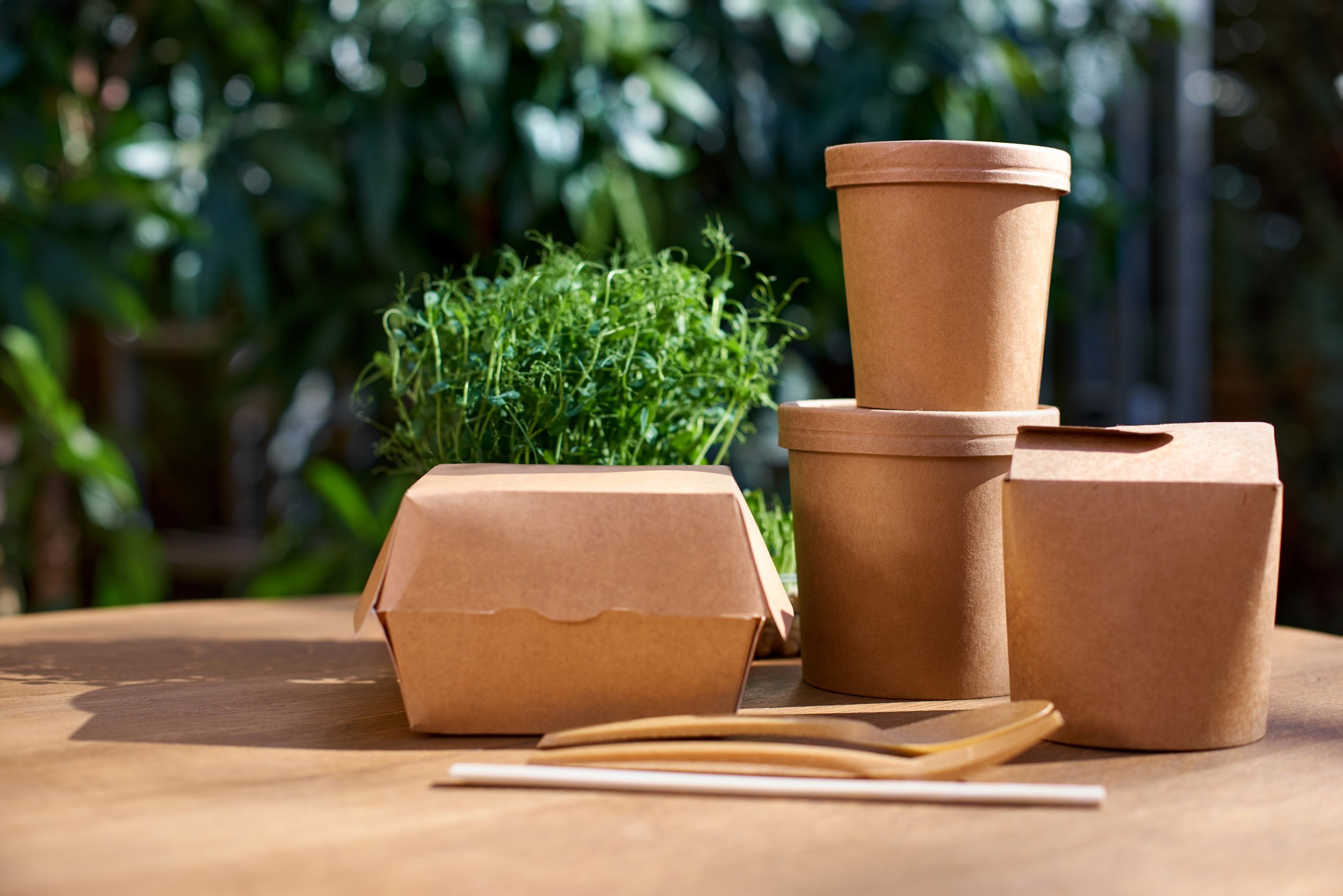 Various biodegradable plant-based containers, including cups, bowls, and a box, along with a small green plant on a wooden surface outdoors with blurred greenery in the background.